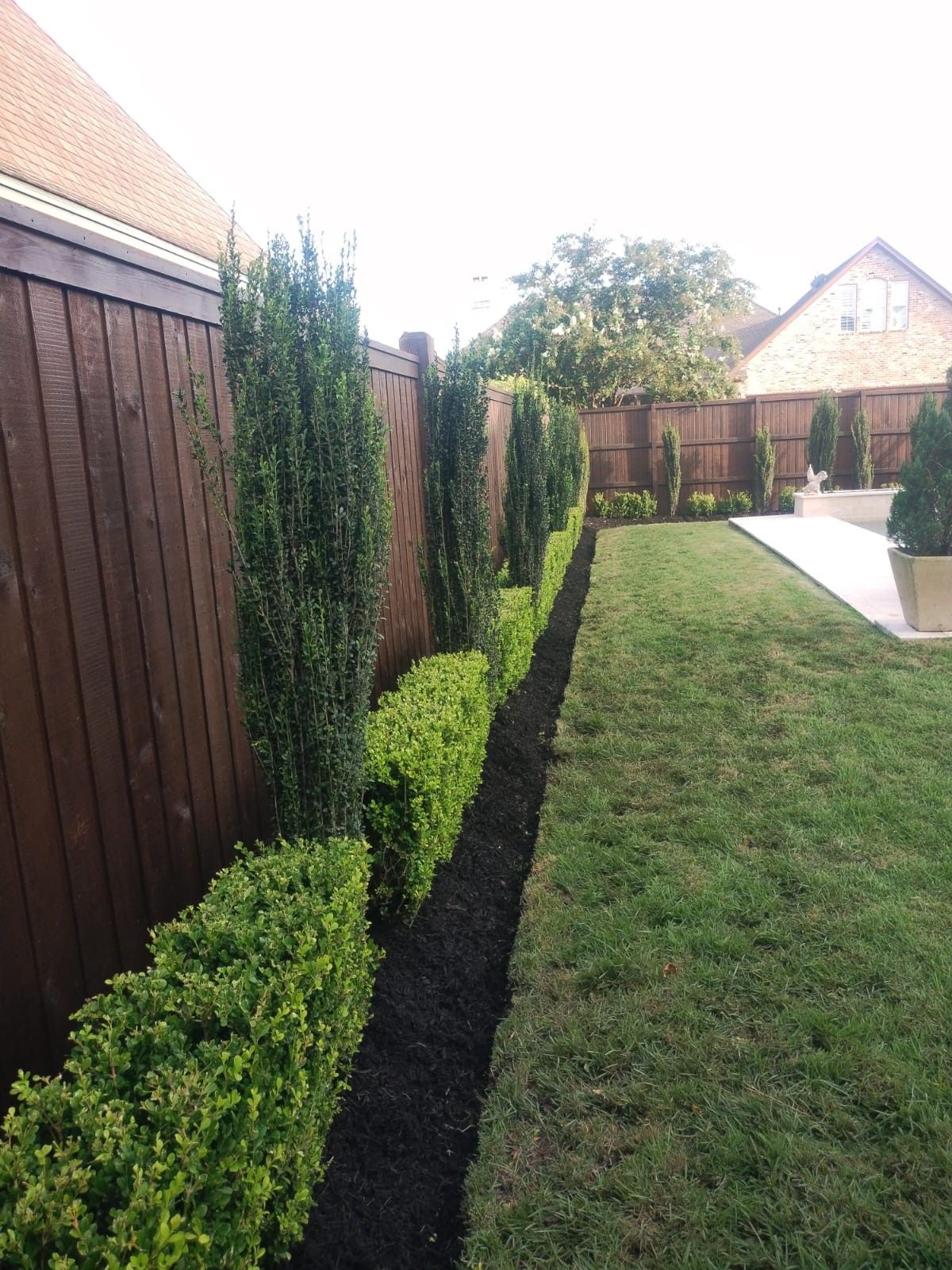 Green hedge and tall trees border a backyard fence with black mulch.