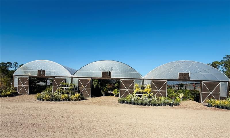 Three arched greenhouses with open doors, displaying plants, under a clear blue sky.