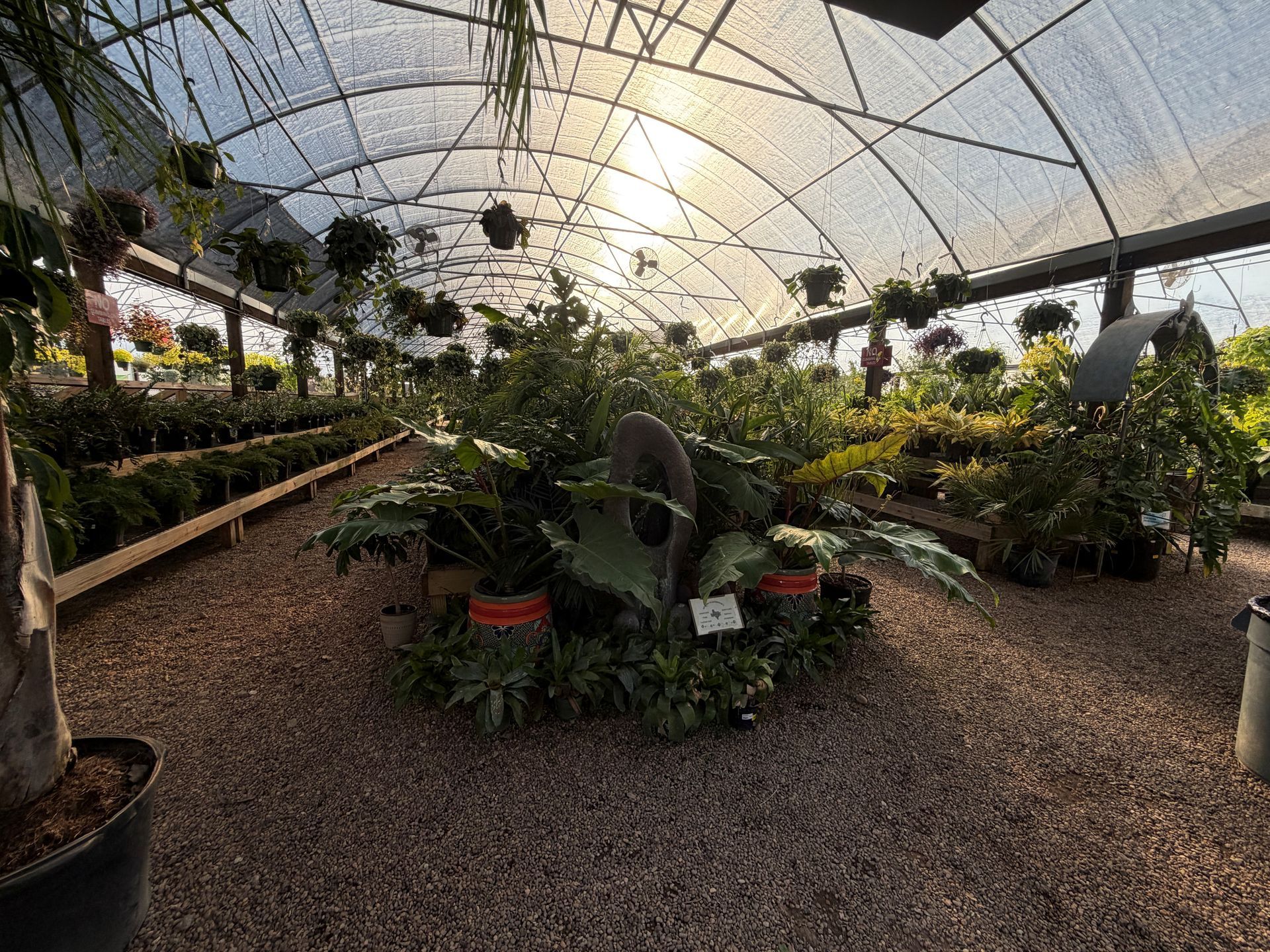 Greenhouse interior with plants, hanging baskets, and gravel floor under a curved roof.