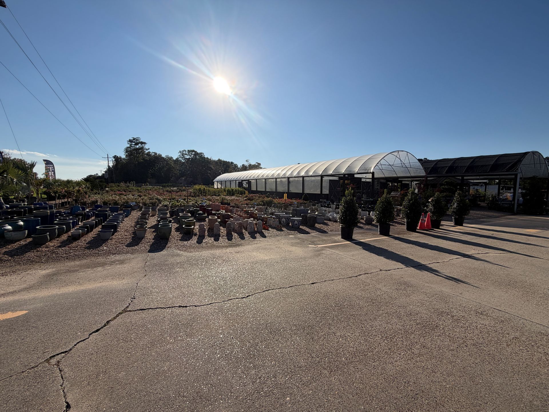 A plant nursery on a sunny day with rows of pots and a greenhouse.