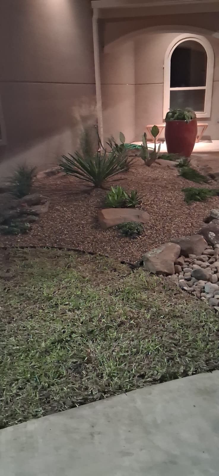 A front yard landscape with various plants, brown gravel, and stepping stones, next to a concrete sidewalk.