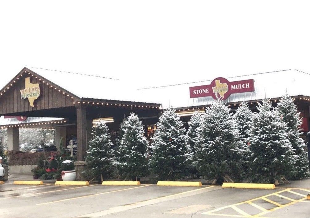 Texas Roadhouse restaurant covered in snow, with Christmas trees out front.
