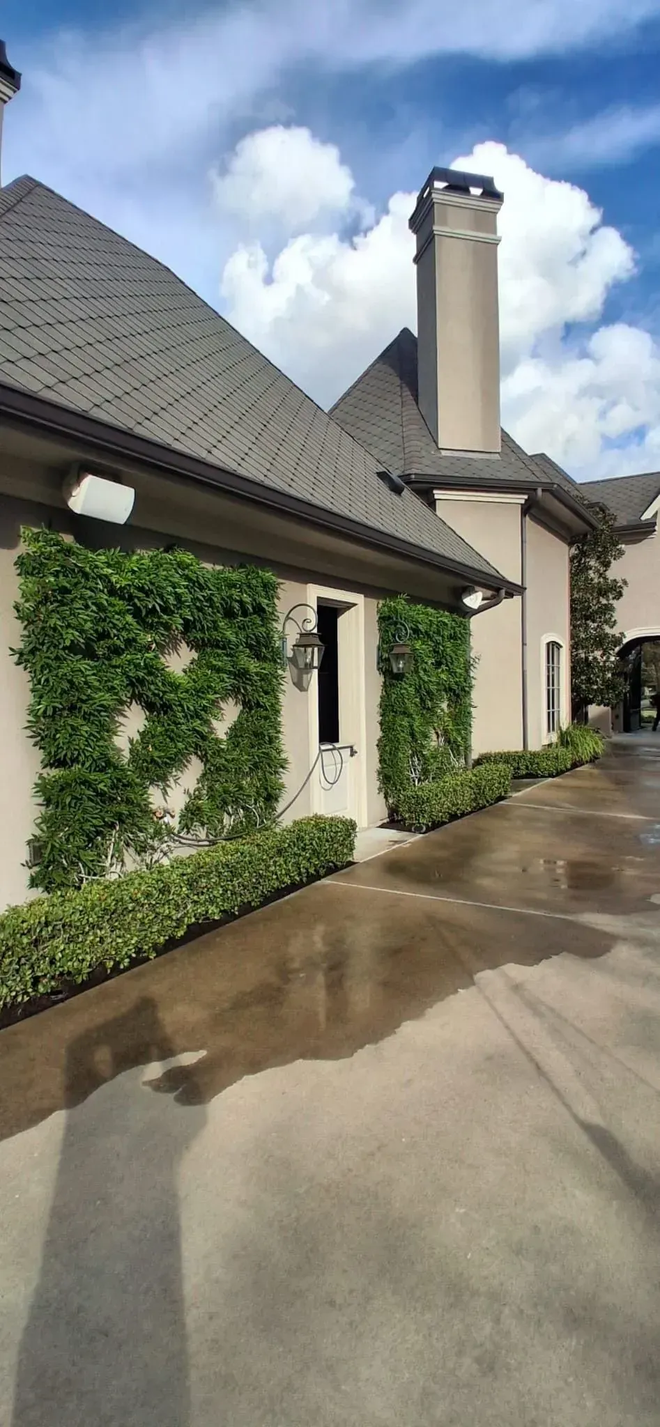 Exterior of a house with a tiled roof and ivy growing on the wall, wet concrete driveway, blue sky with clouds.