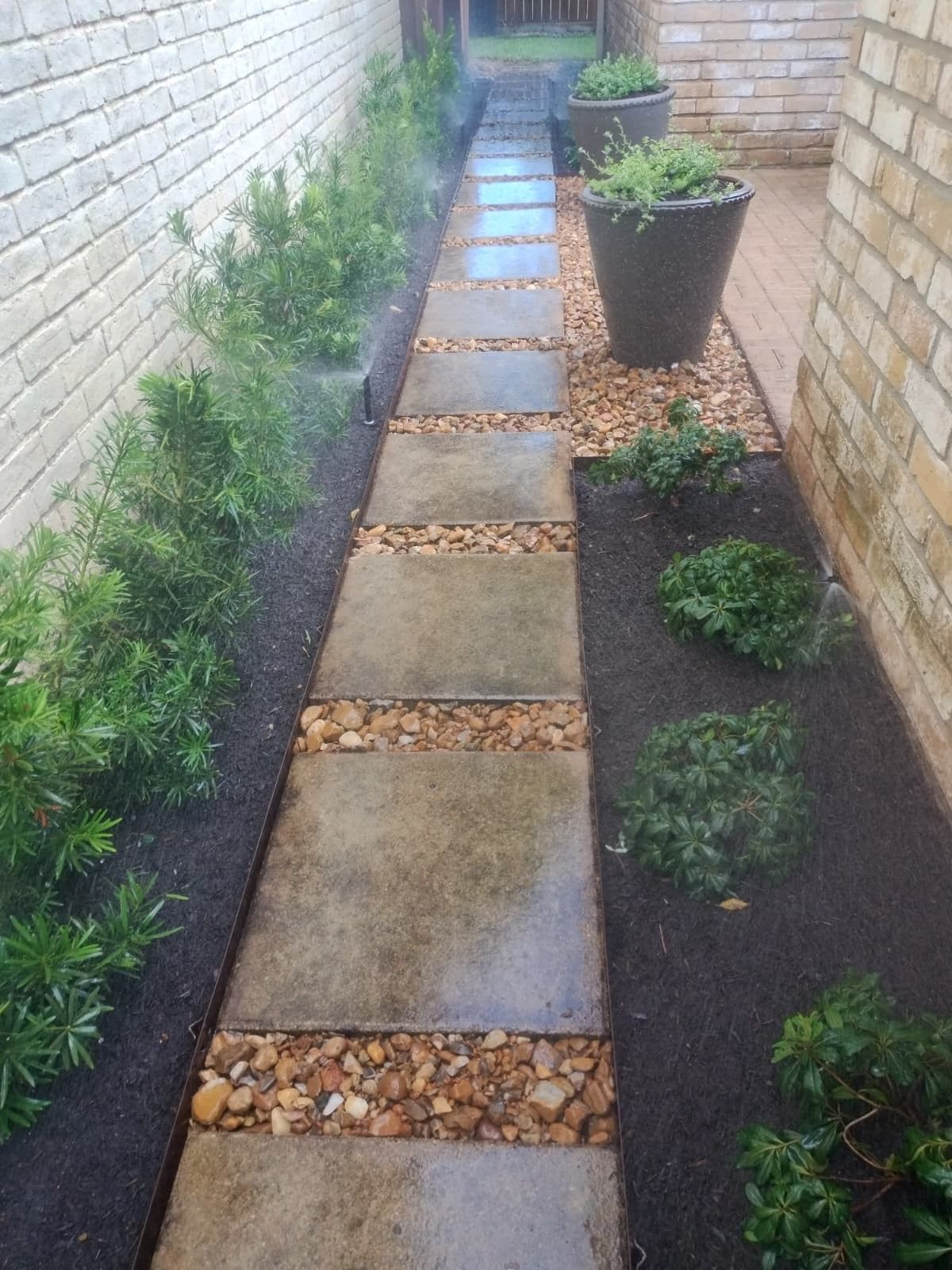 Stone pathway with mulch, gravel, and greenery between brick walls.