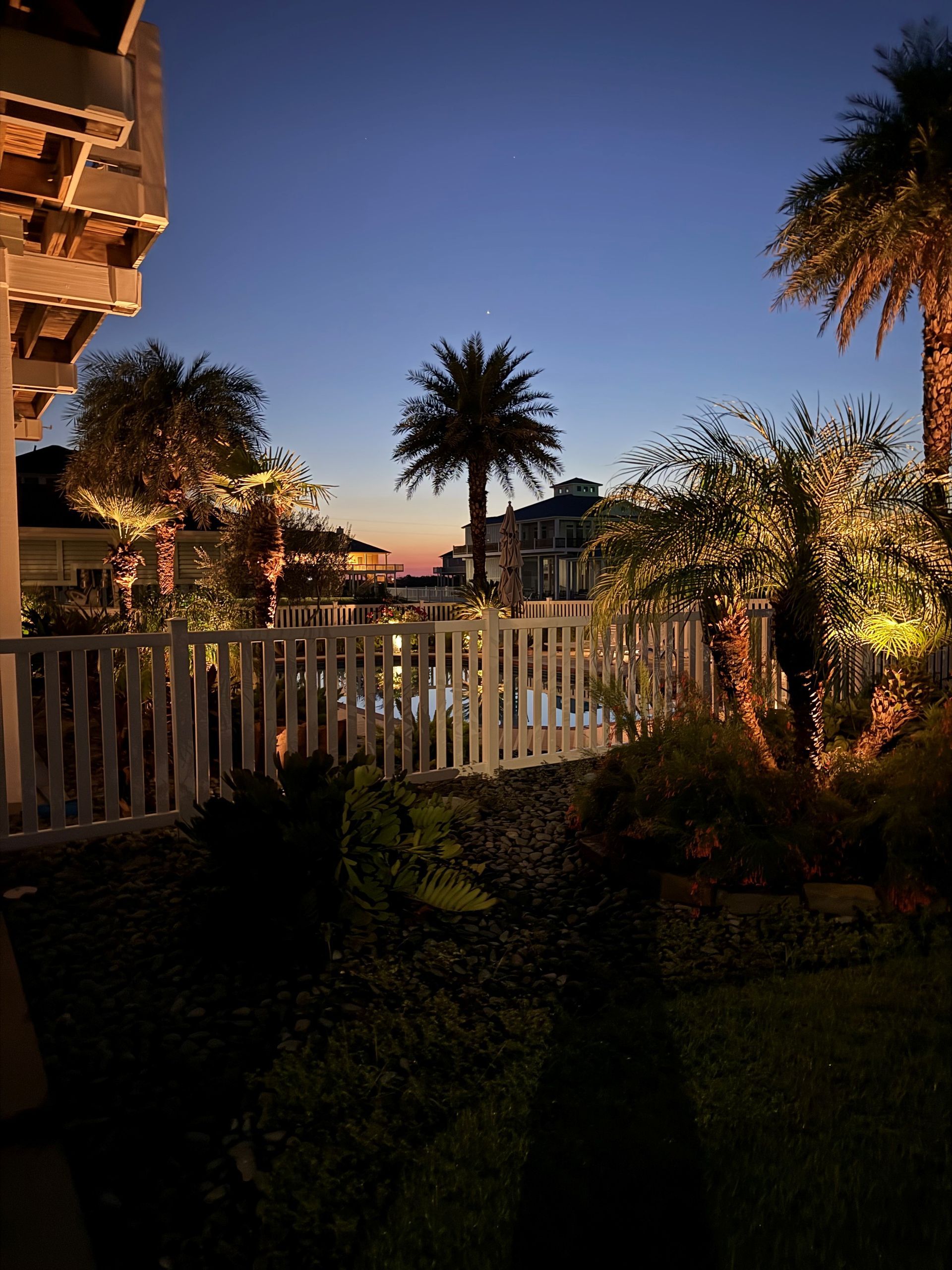 Palm trees illuminated at dusk behind a white fence and a pool; buildings and sky in background.