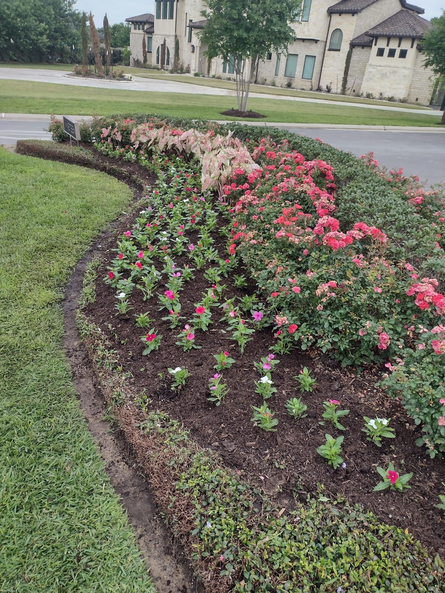 Flower bed with pink, red, and white blooms next to a grassy area, in front of a building.