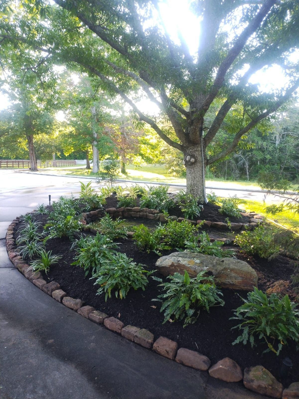 A landscaped garden bed around a large tree with dark mulch, green plants, and a stone border.
