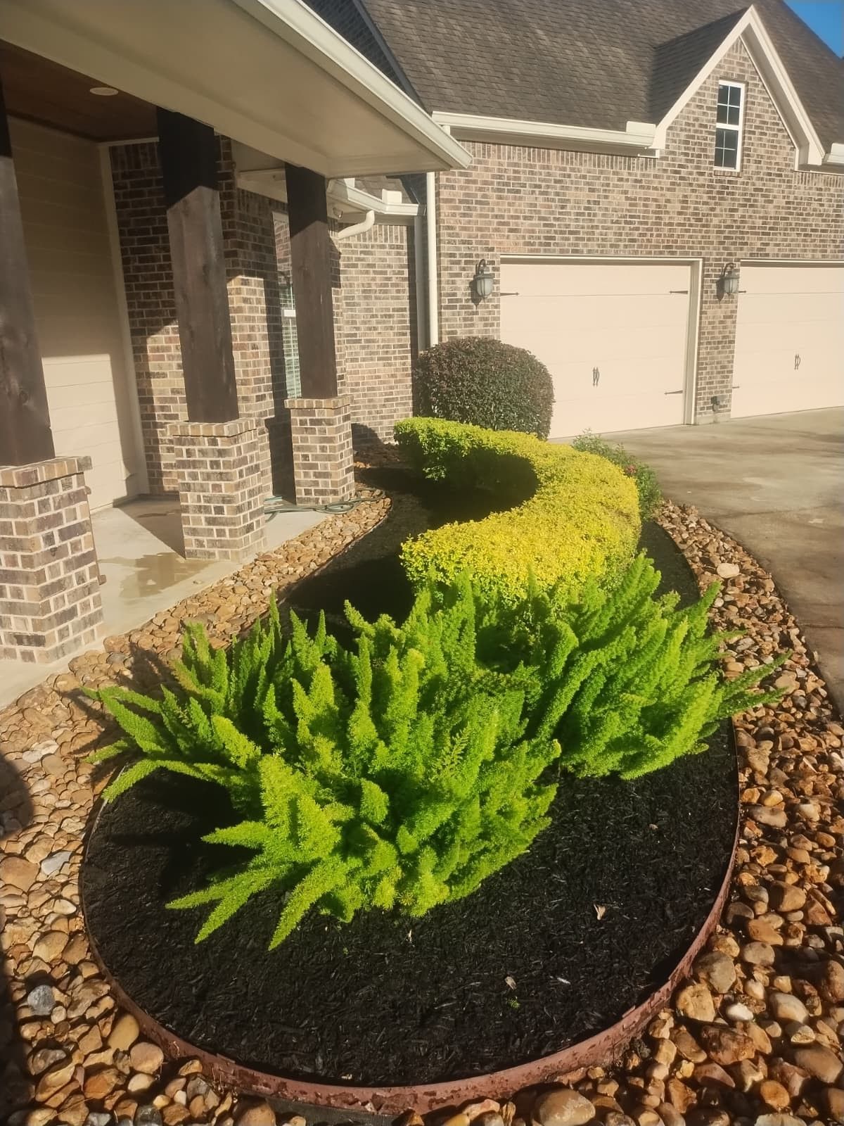 Landscaped yard bed with a curved yellow and green hedge; a house with brick and garage is in the background.