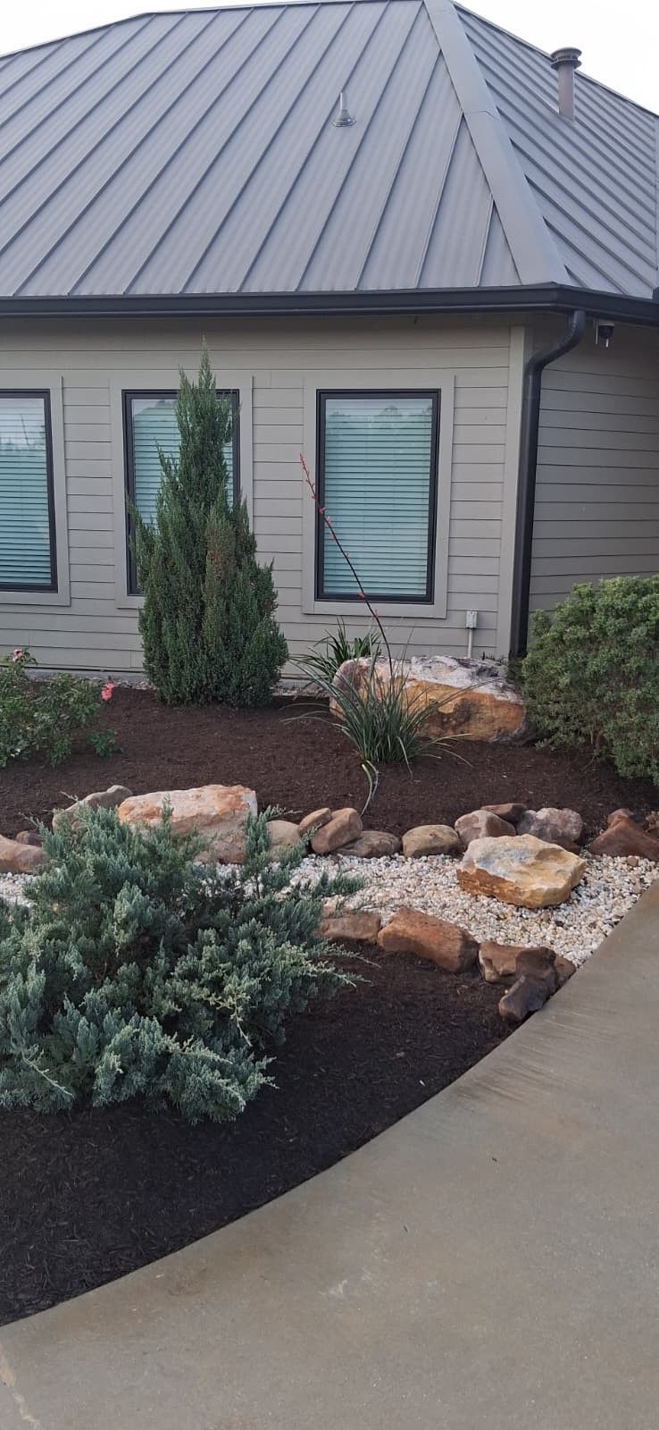 Landscaped front yard with a row of windows and a dark metal roof. Mulch, rocks, and various plants are visible.