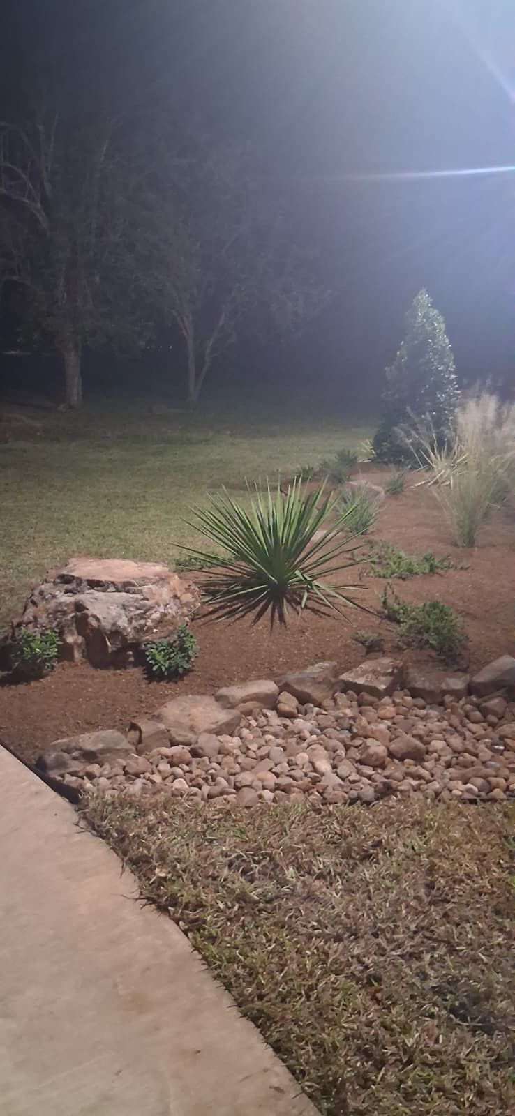A nighttime outdoor scene featuring landscaping with rocks, plants, and a grassy area.