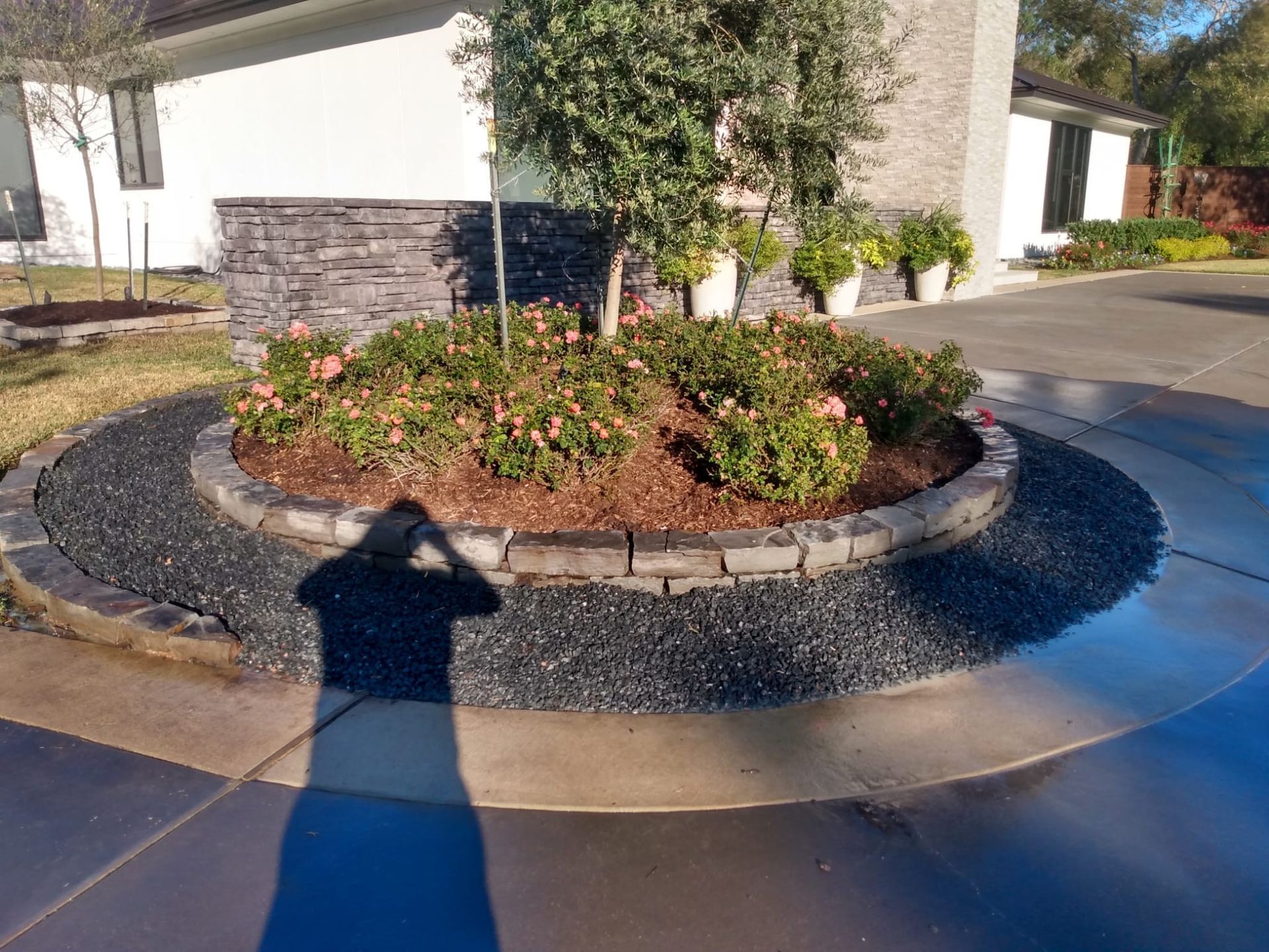 Circular garden bed with plants, stone border, black rocks, and a shadow on a concrete driveway.