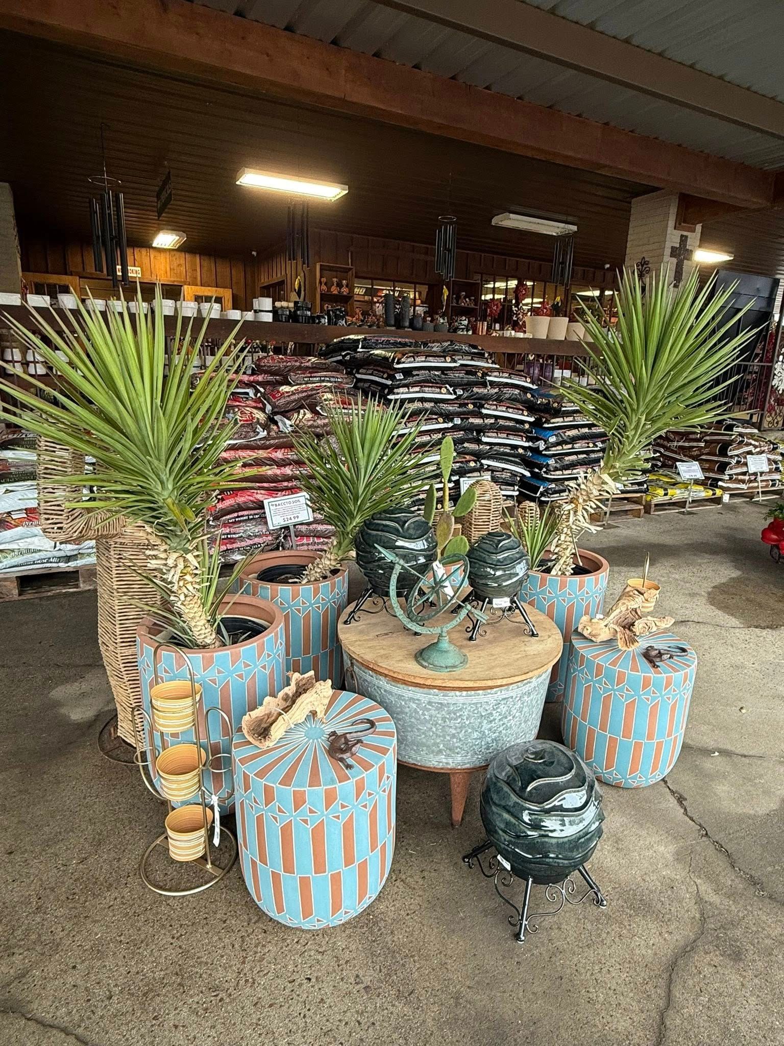 Display of potted plants and decor at a garden center; includes teal and brown pots, and yucca plants.