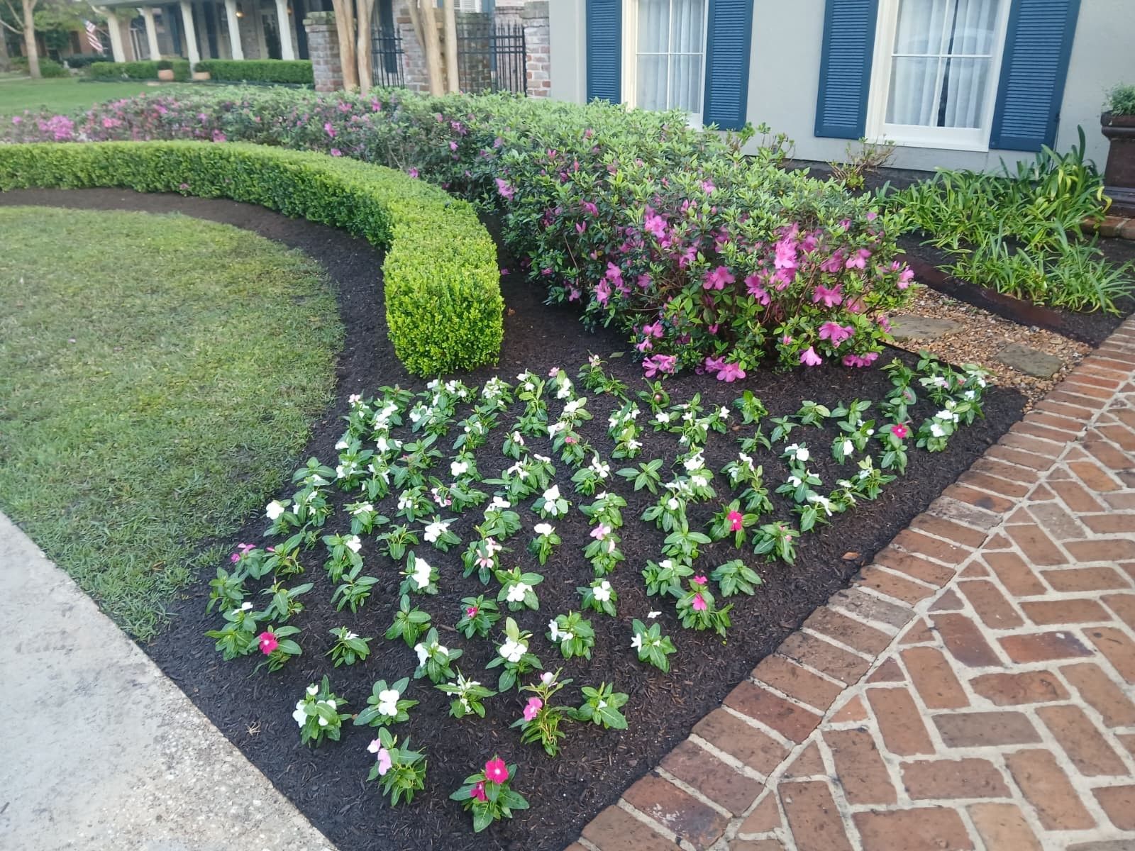 A curved brick path borders a garden bed planted with white and pink flowers, a shaped hedge, and purple azalea bushes.
