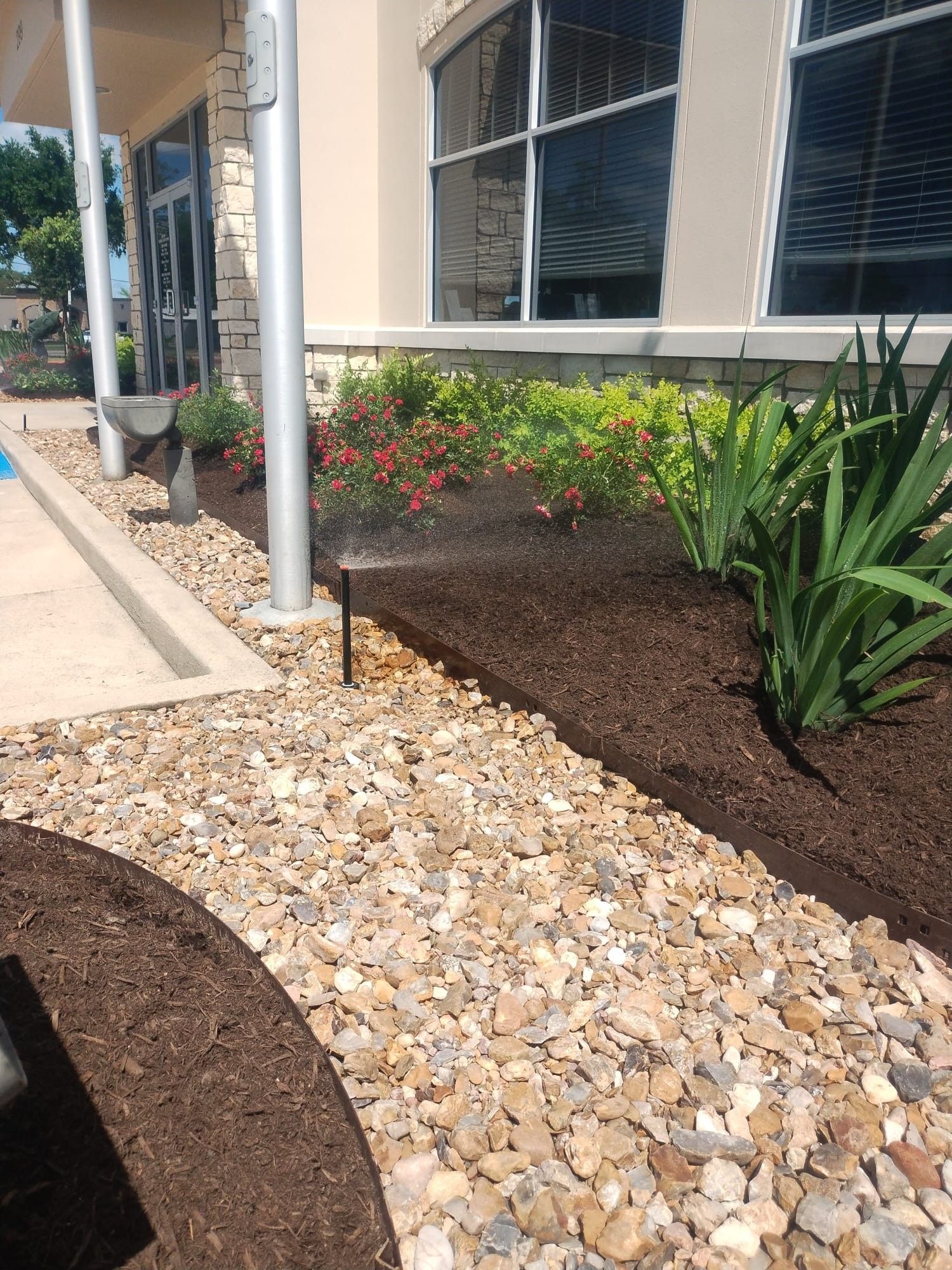 Sprinkler watering plants in a landscaped bed with brown mulch, pebbles, and building in the background.