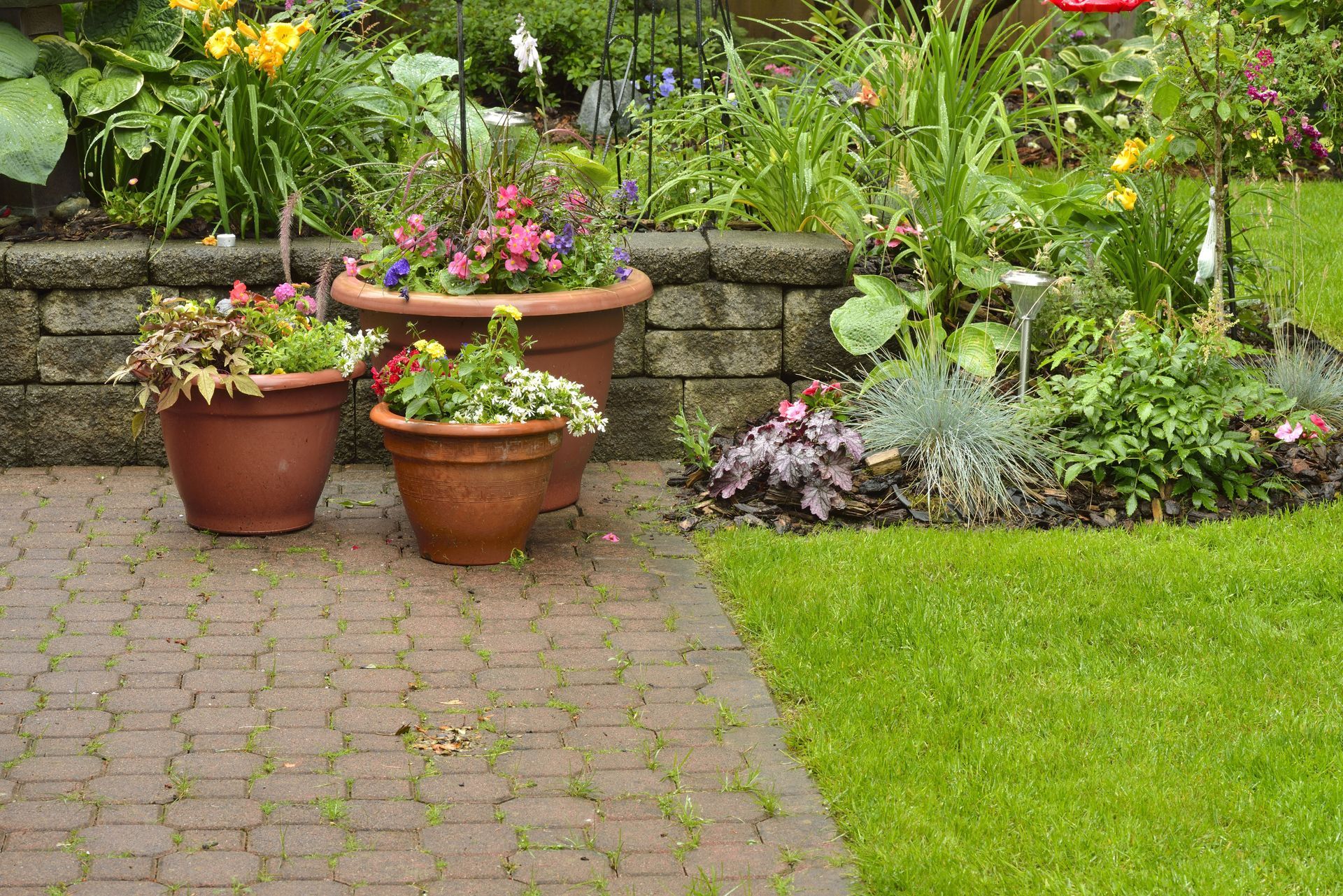 Three potted plants on a brick patio, beside a grassy lawn and garden bed with colorful flowers.