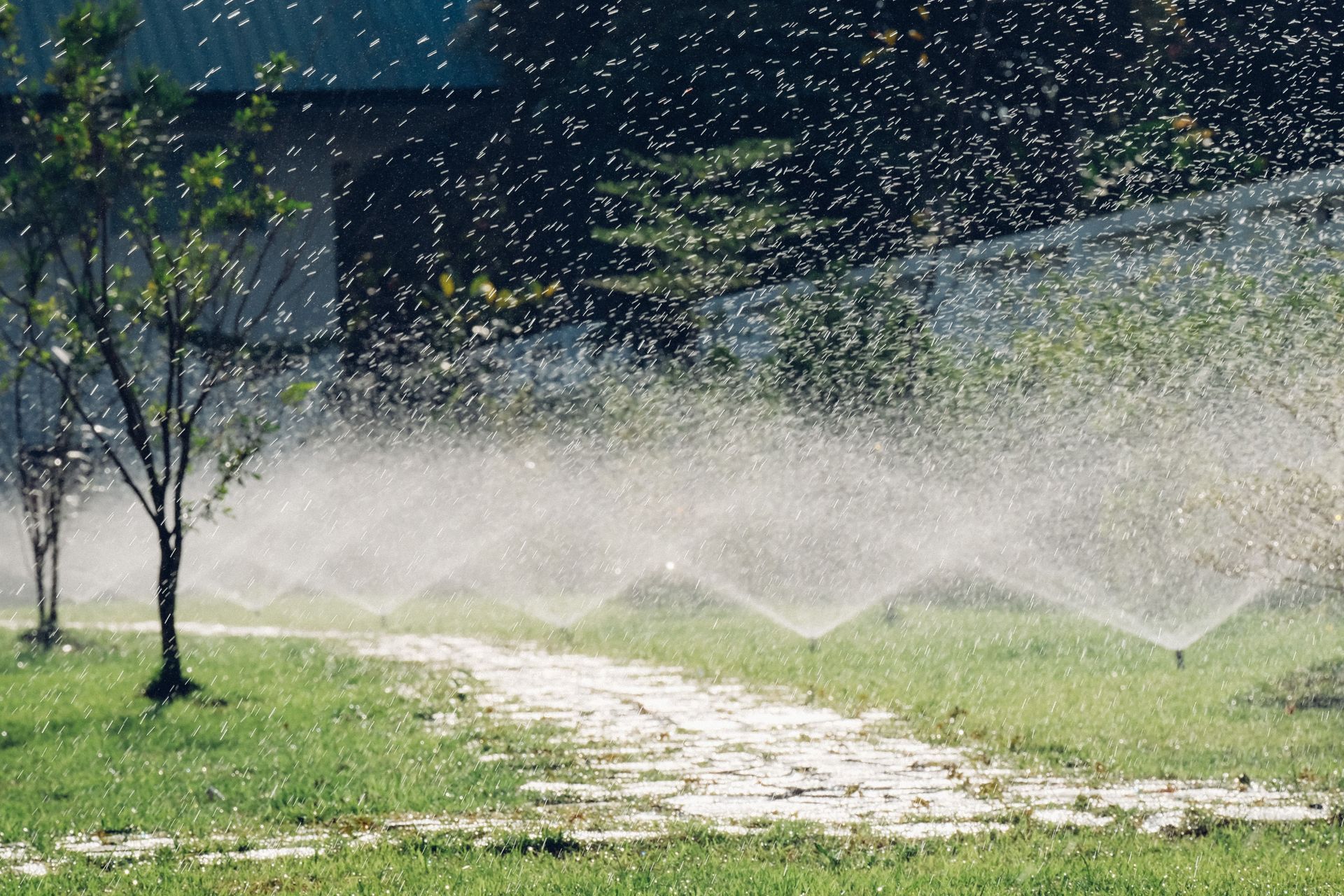 sprinkler irrigation system