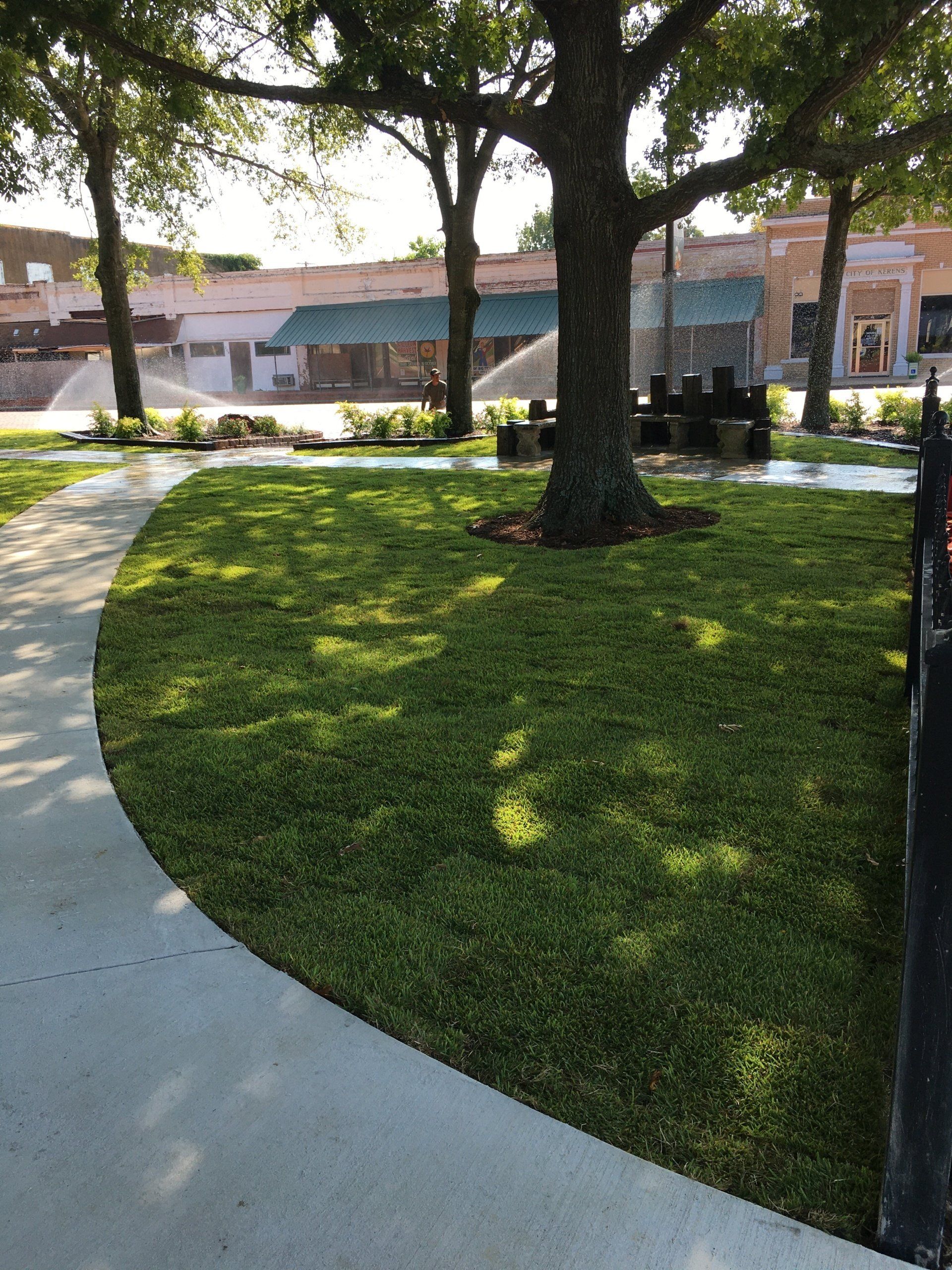 A lush green park with trees and a concrete walkway
