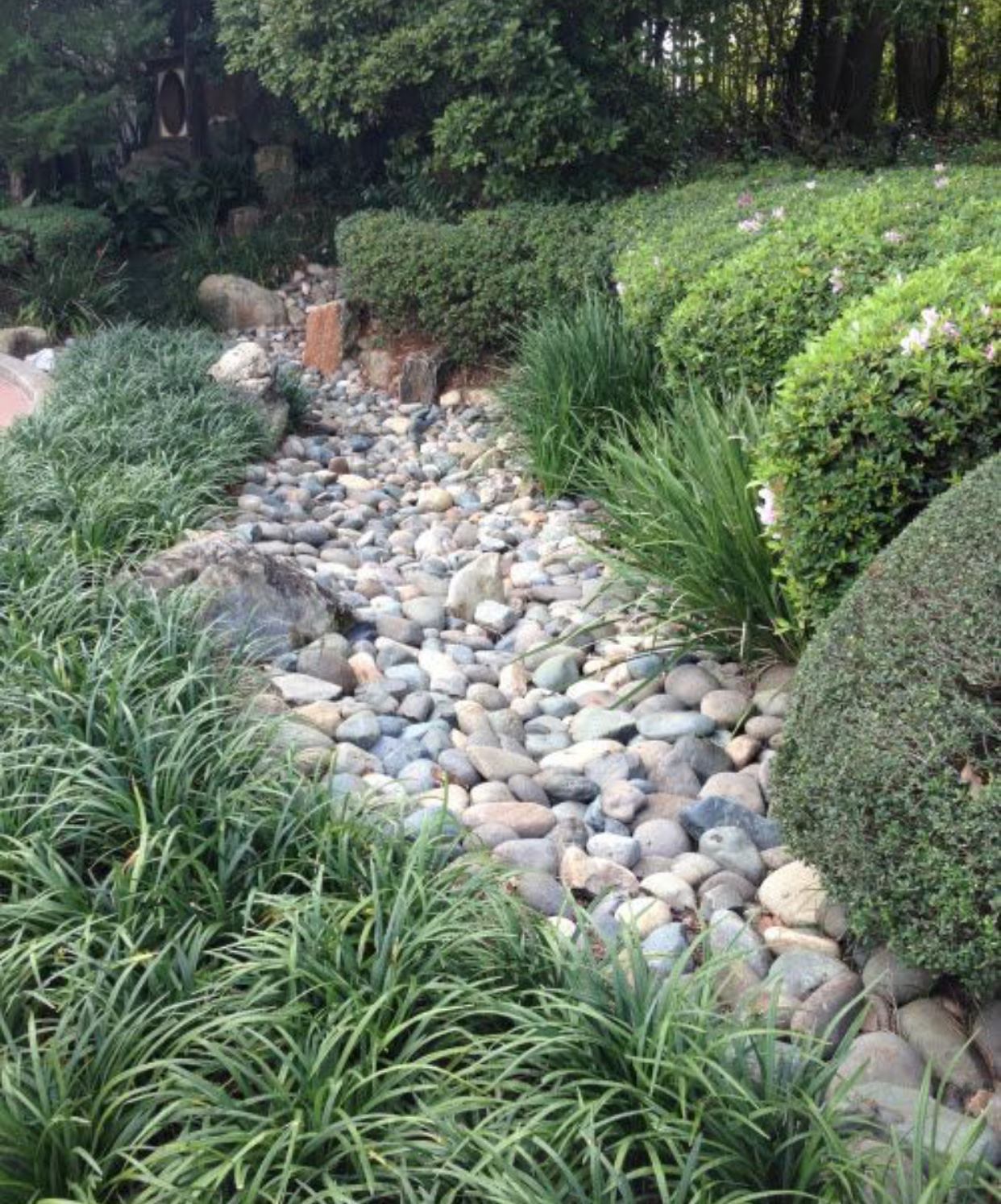 A stream of rocks runs through a lush green garden
