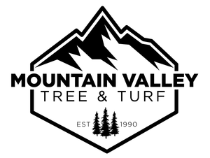 Mountain Valley Ventures, Inc. - Logo