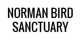 Norman Bird Sanctuary