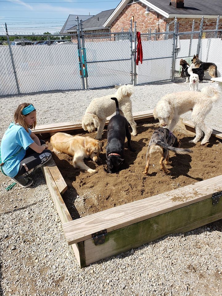 Oxford Kennel - Dogs