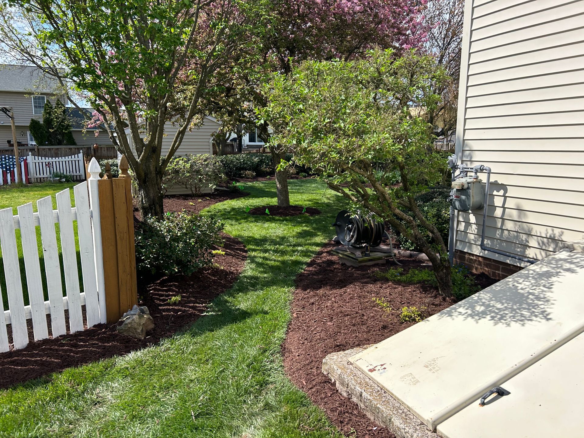 A sunny yard with a white picket fence, a green lawn, mulch garden beds, and trees near the side of a beige house.