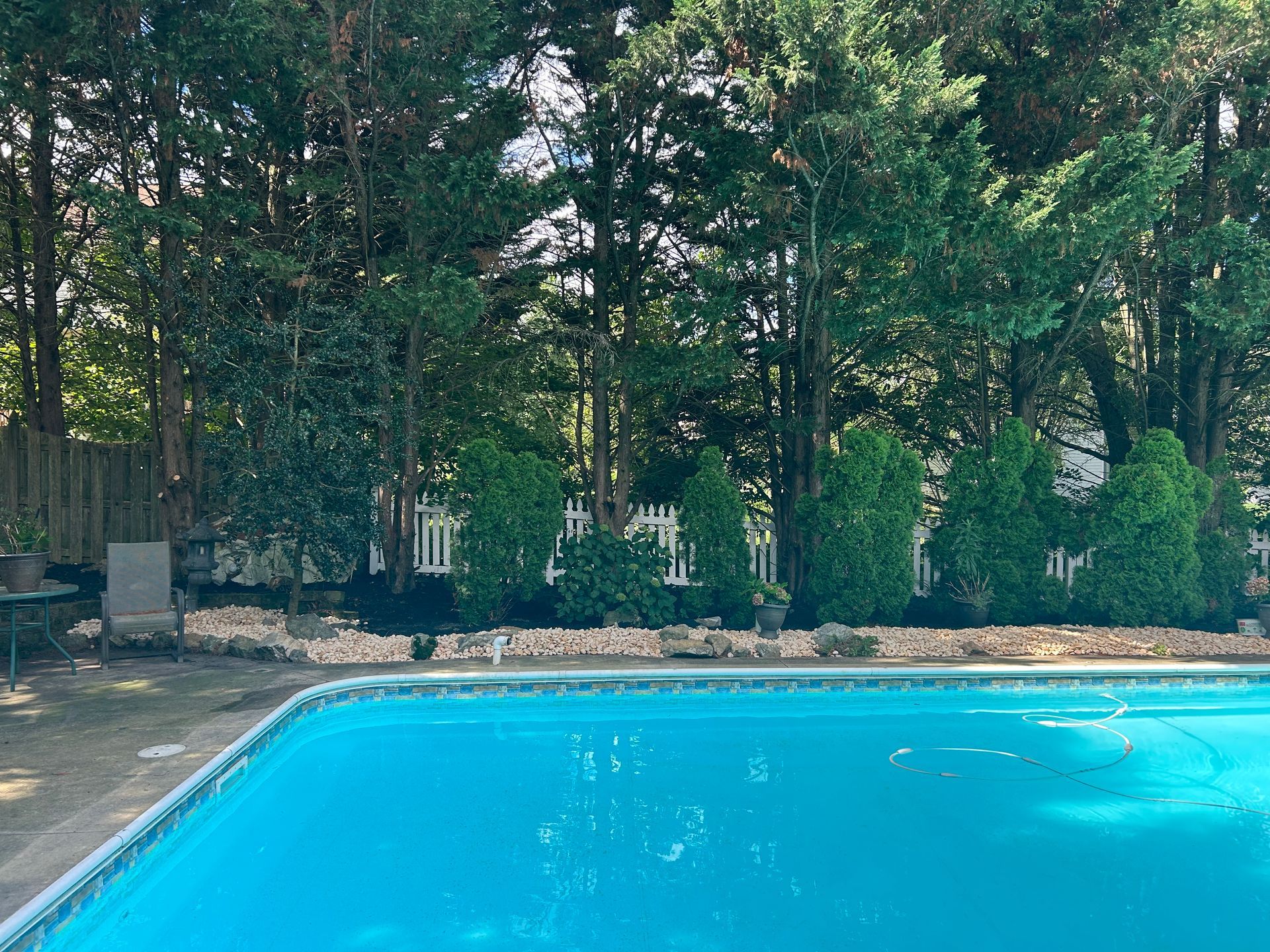 A bright blue rectangular swimming pool sits in front of a white picket fence bordered by lush green trees and shrubs.