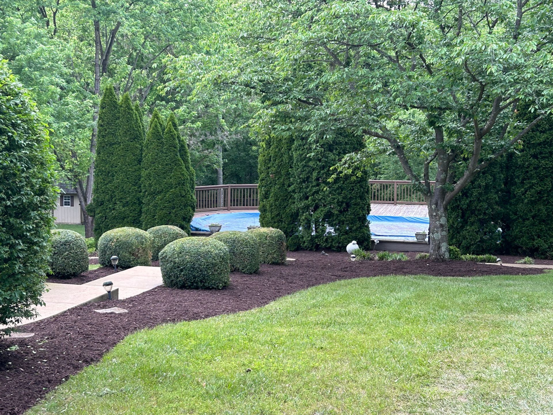 A suburban backyard features a blue-covered swimming pool surrounded by manicured shrubs, mulch beds, and tall trees.