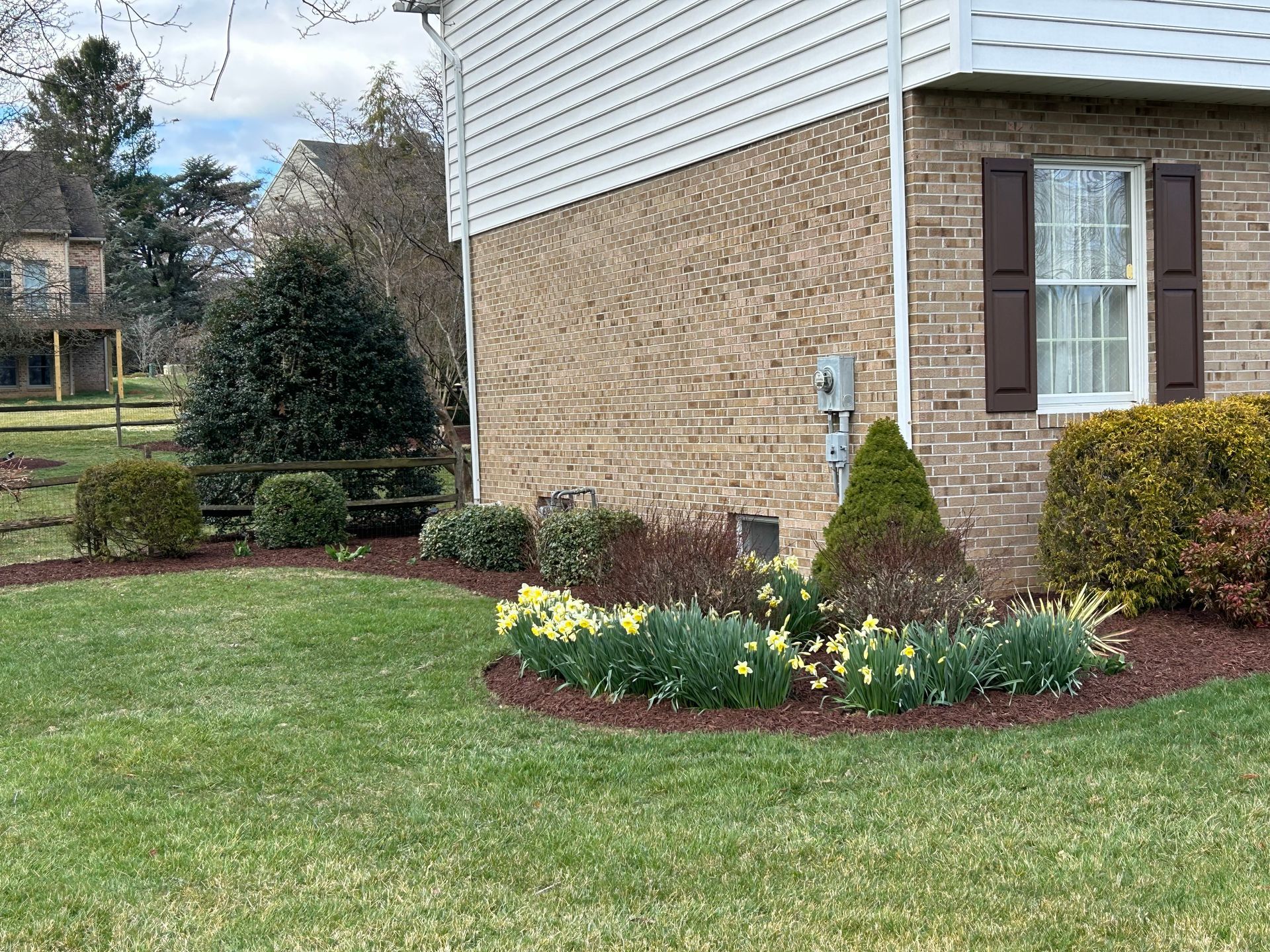 A side view of a brick house with a flower bed of yellow daffodils, shrubs, and a lawn in front on a cloudy day.