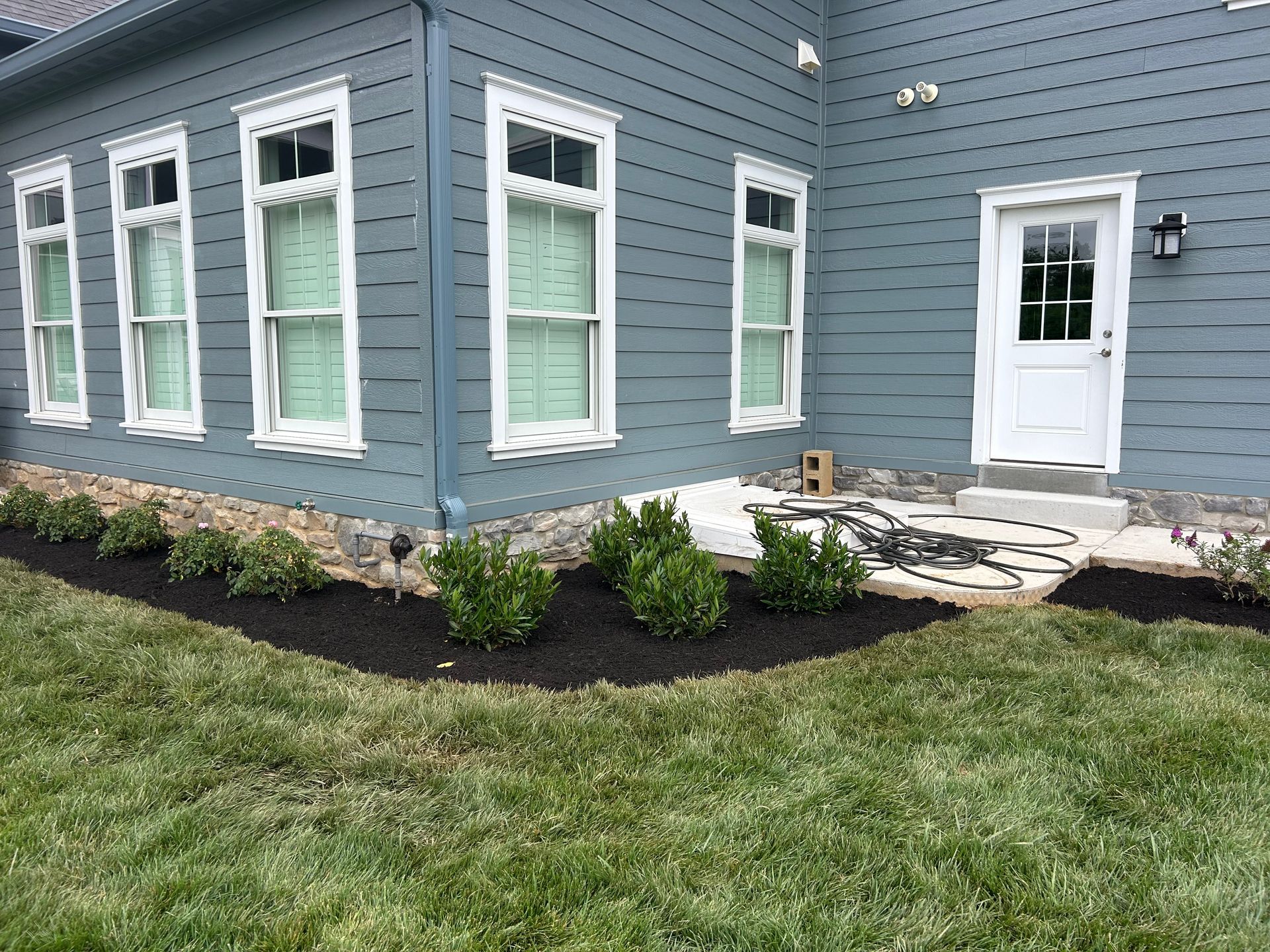 A blue-sided house with white trim, several windows, and a white door, set behind a lawn with newly mulched landscaping.