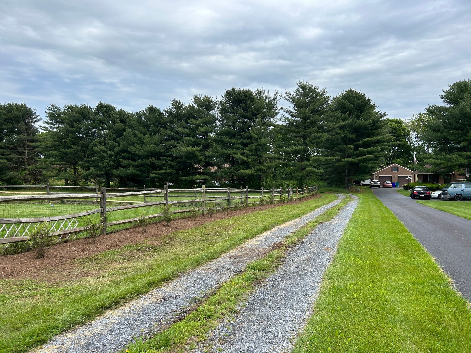 A gravel driveway runs alongside a split-rail fence, grassy yard, and a line of tall evergreen trees under a cloudy sky.