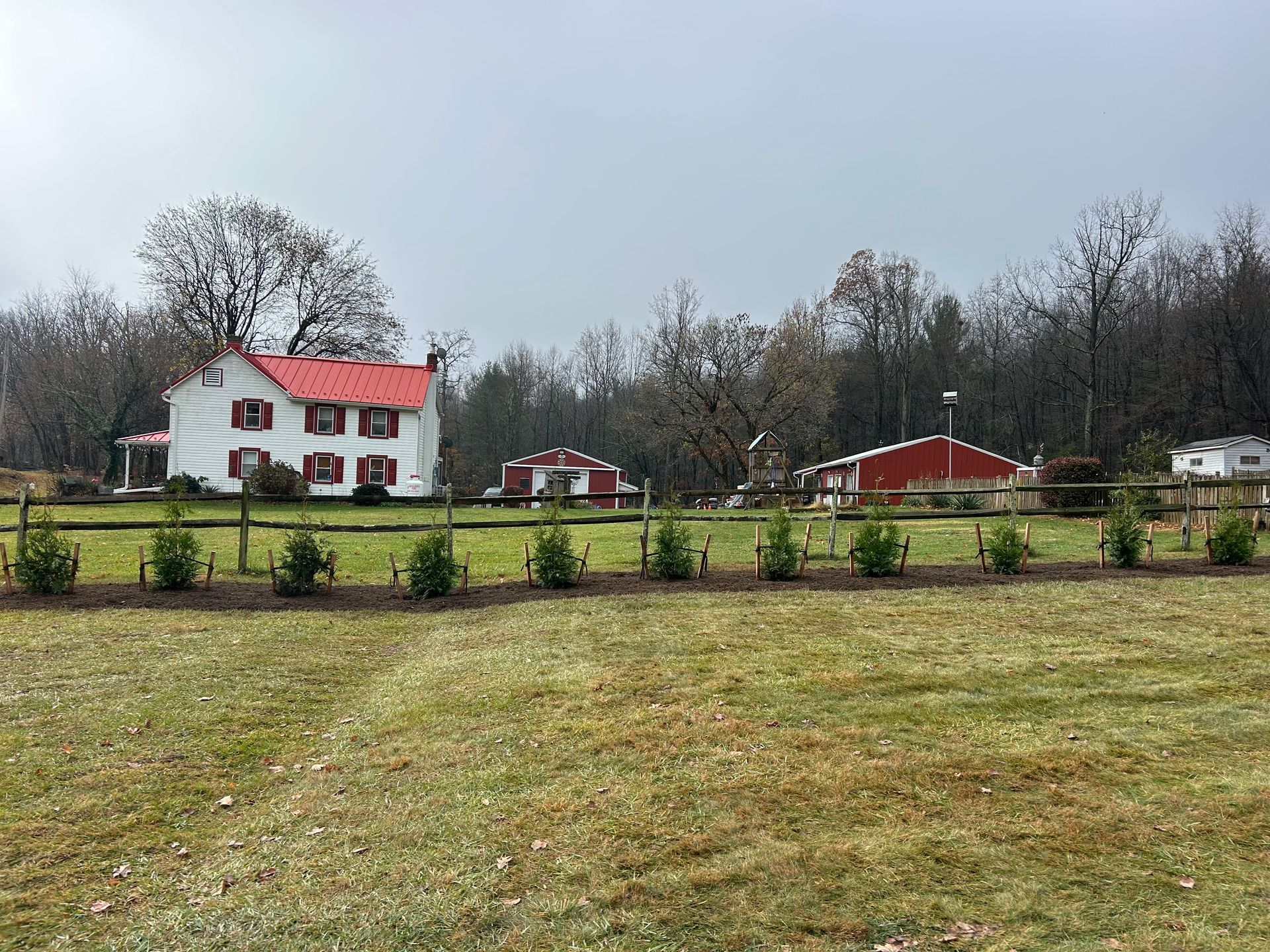 A white farmhouse with a red roof sits behind a fence and small evergreen trees, with red barns in the background.