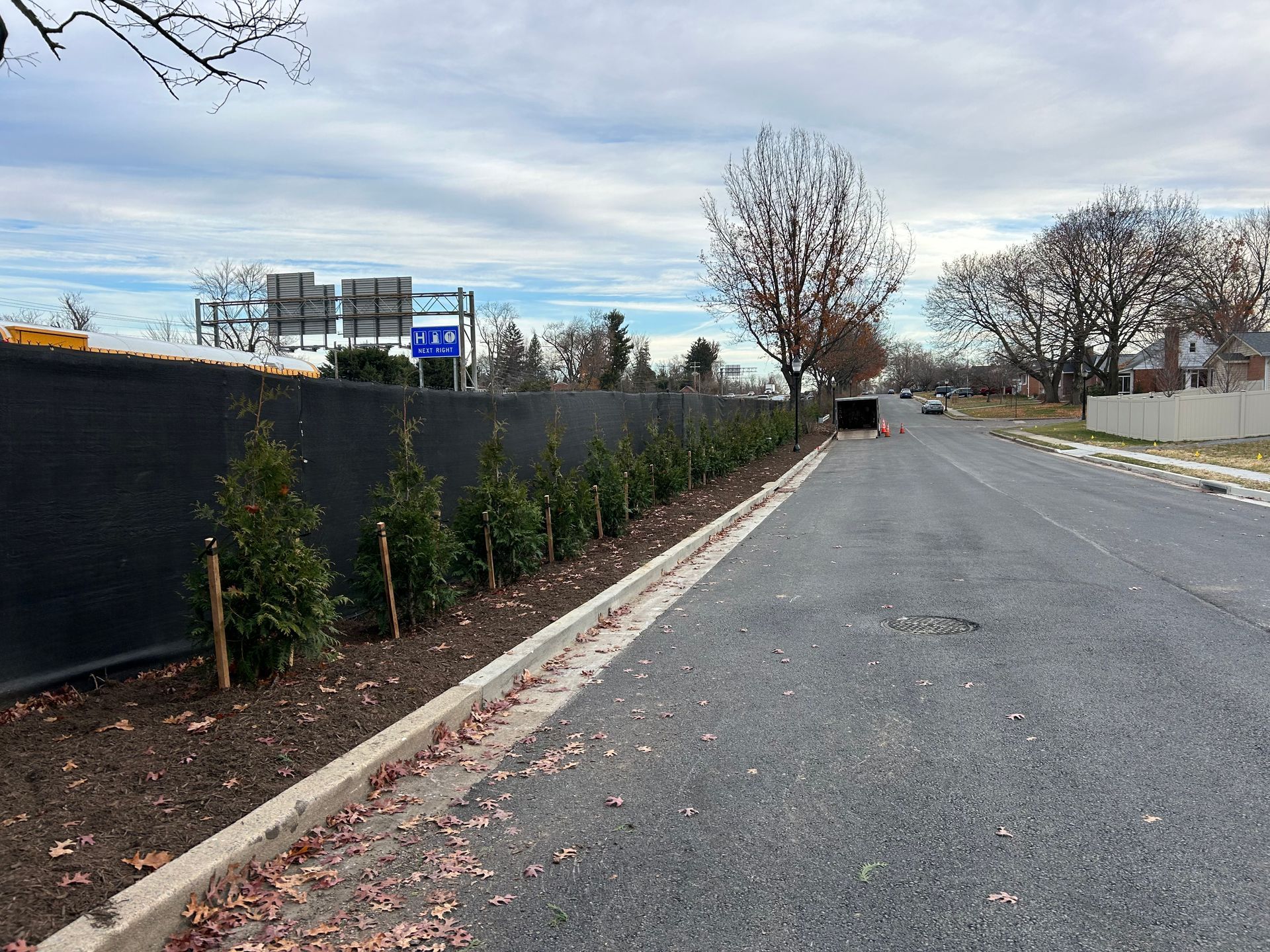 A row of young evergreen trees planted in mulch along a dark privacy fence next to a gravel road under a cloudy sky.