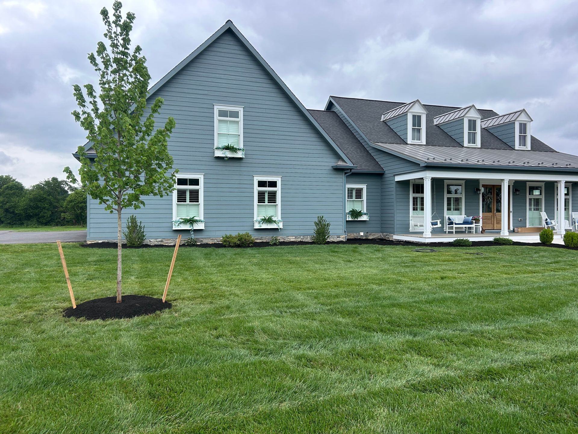 A blue-gray house with a large front lawn, a single young tree in the foreground, and a covered porch on a cloudy day.