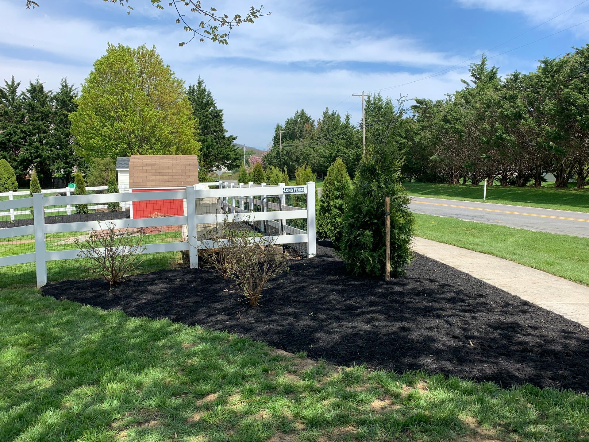 A white split-rail fence encloses a corner garden bed with black mulch, young shrubs, and a small red shed in a park.