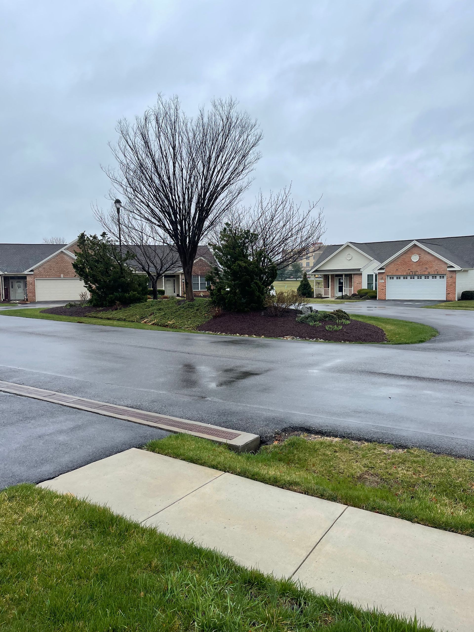 A landscape view of a residential street with a central garden island, bare trees, and suburban houses under a cloudy sky.