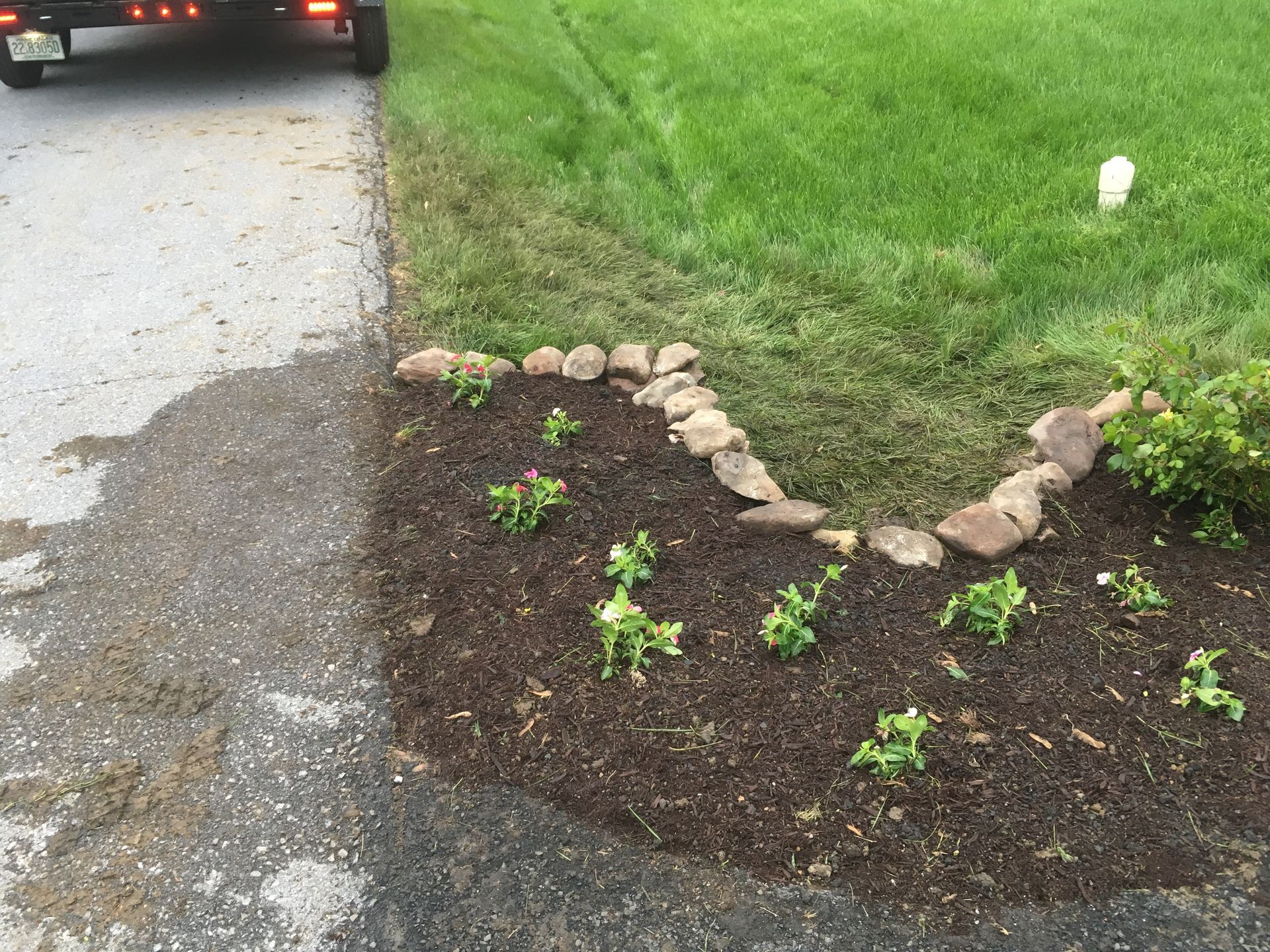 A newly planted garden bed with small green plants and mulch, bordered by rocks along a grassy lawn and an asphalt driveway.