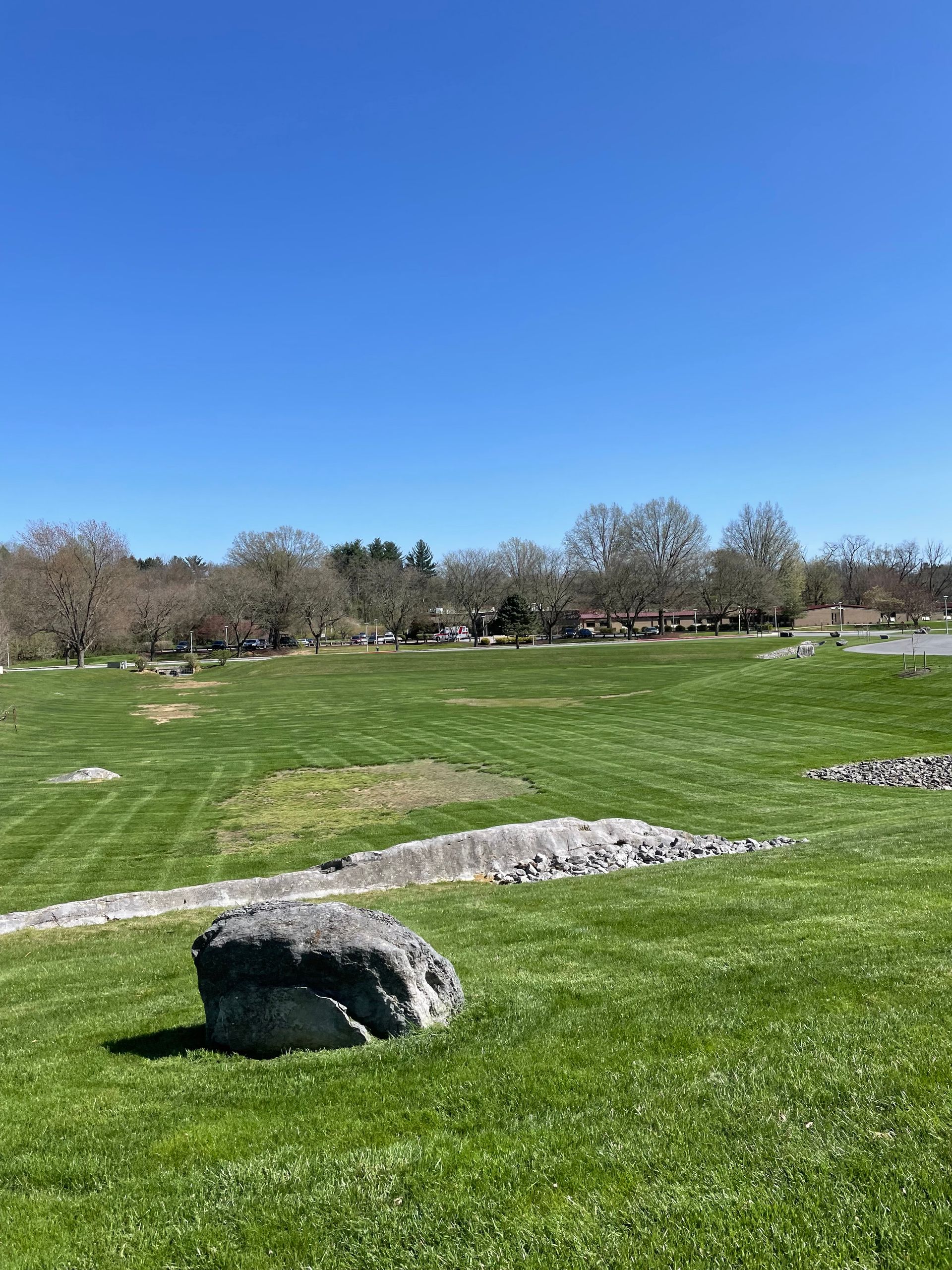 A large gray boulder sits on a grassy field under a clear blue sky, with a line of trees in the background.