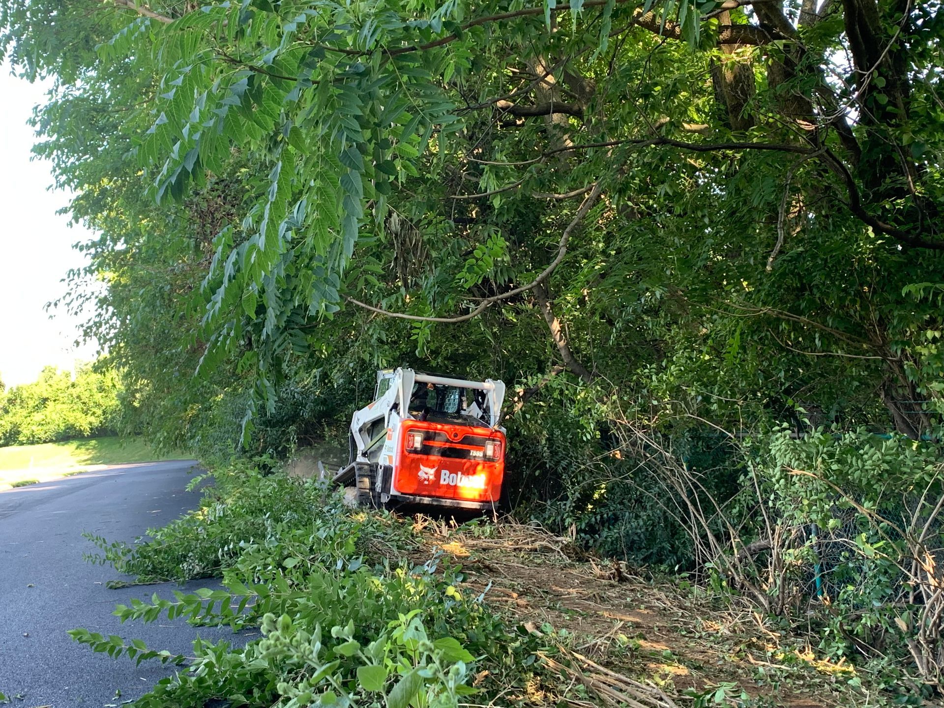 An orange and white Bobcat skid steer loader clears brush along the side of a rural paved road under tree cover.