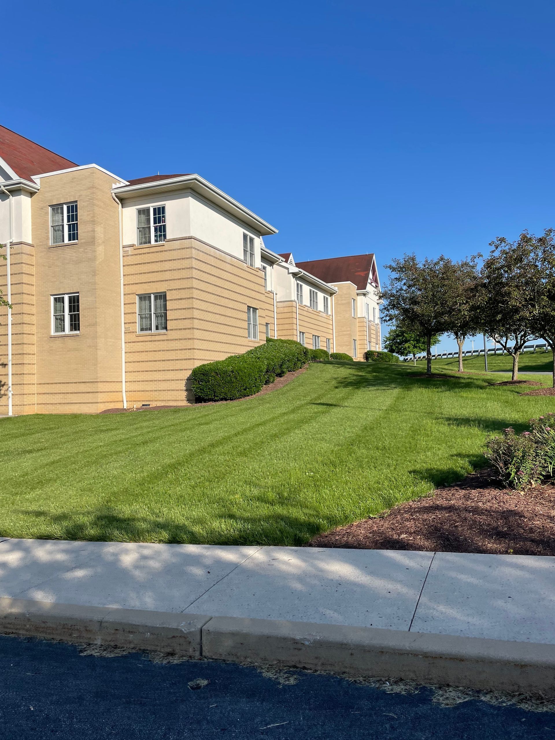 A multi-story beige brick and white building under a clear blue sky, next to a landscaped lawn with trees and a sidewalk.
