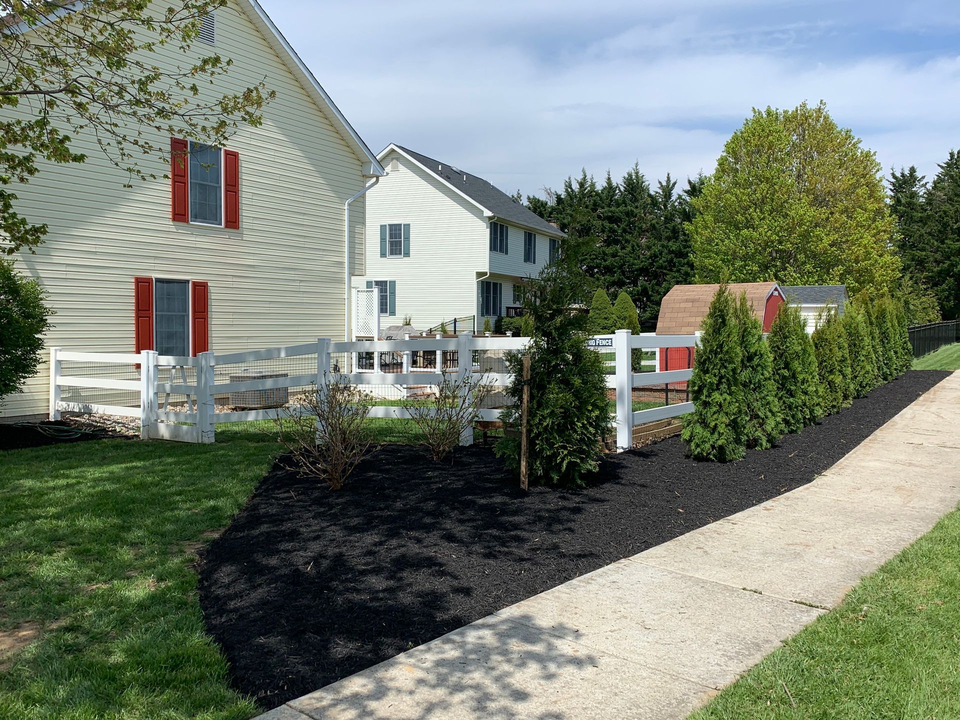 A white house with red shutters stands behind a white fence next to a mulched garden bed with small evergreen trees.