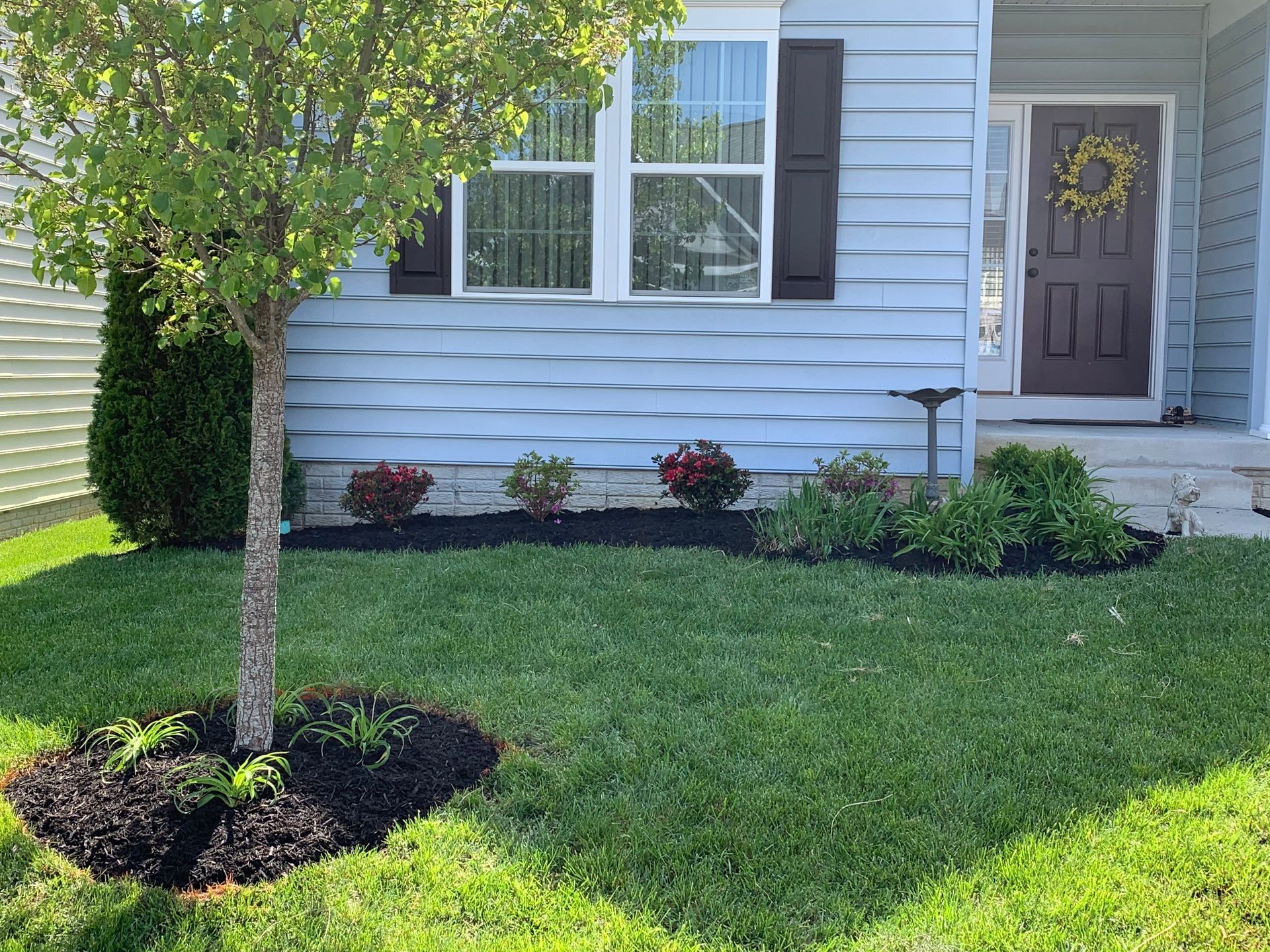 Light blue house exterior with a front yard featuring a small tree, mulch beds, and a dark brown front door with a wreath.