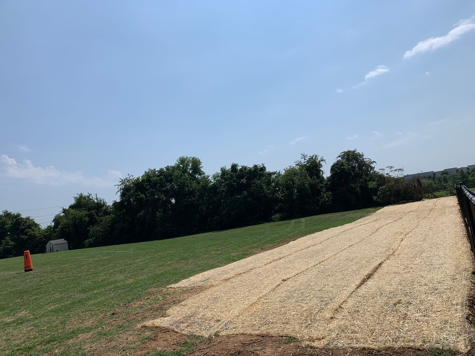 A field with a patch of light-colored wood chips in the foreground, adjacent to green grass under a clear blue sky.