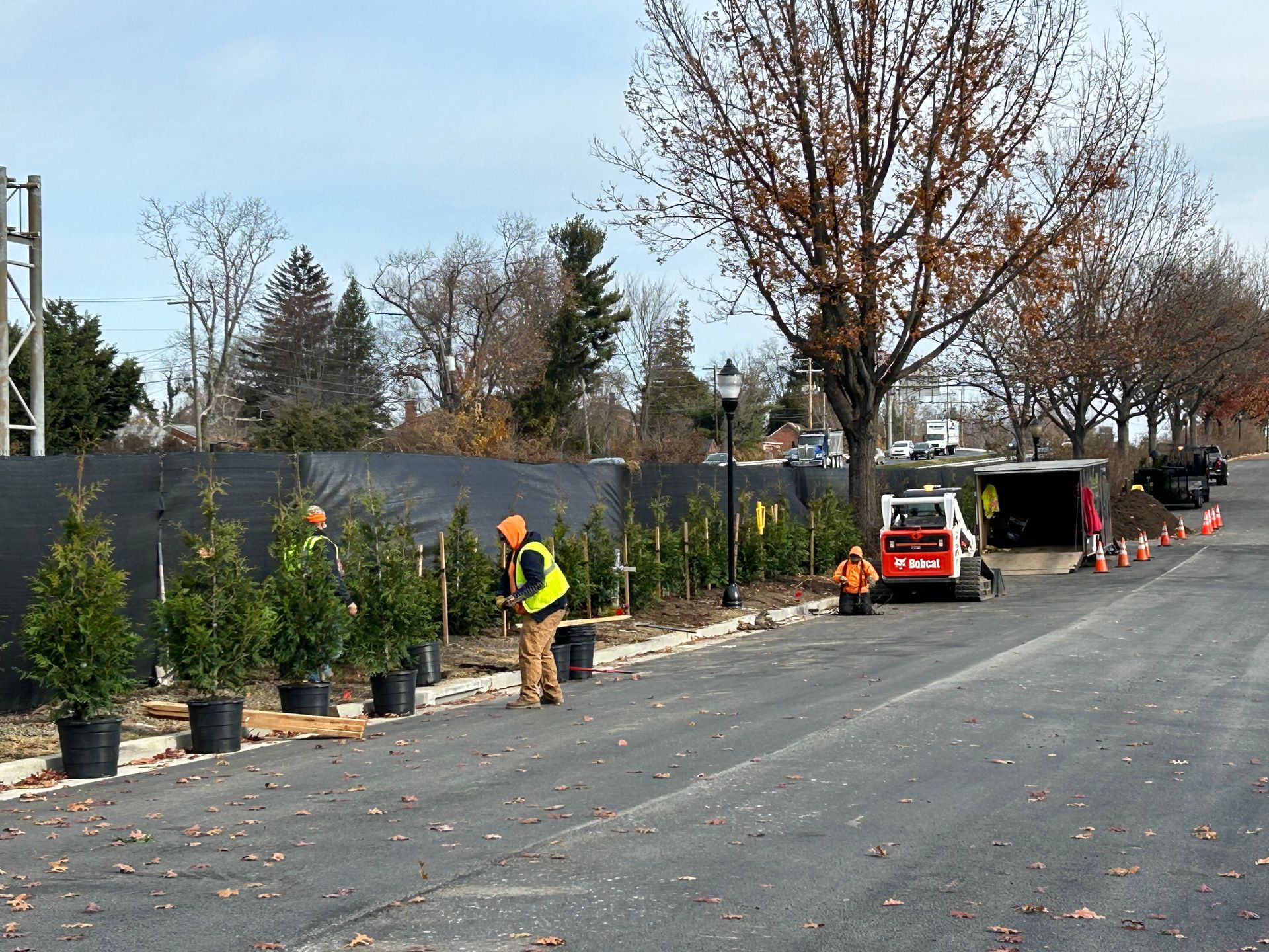 Workers in high-visibility vests planting small evergreen trees in pots along a fenced roadside near a construction trailer.