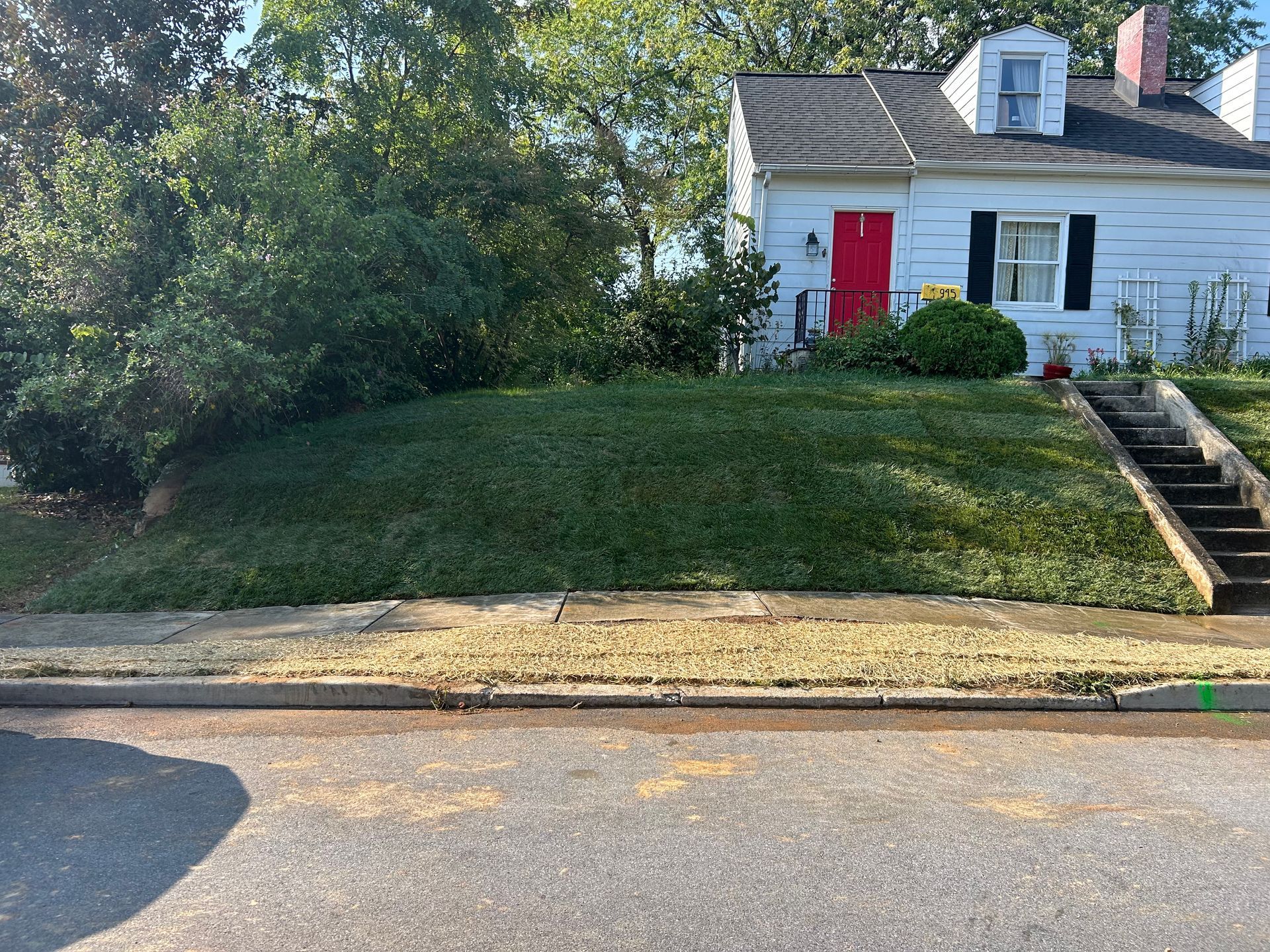 A white house with a bright red door and a sloped, grassy front yard with concrete steps, seen from the street.