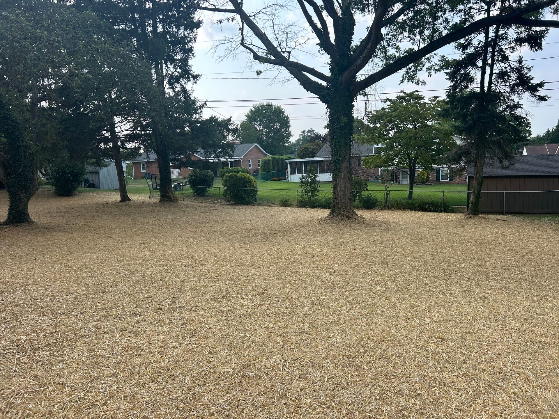 A wide gravel yard with several large trees, leading to a grassy area with houses in the background.