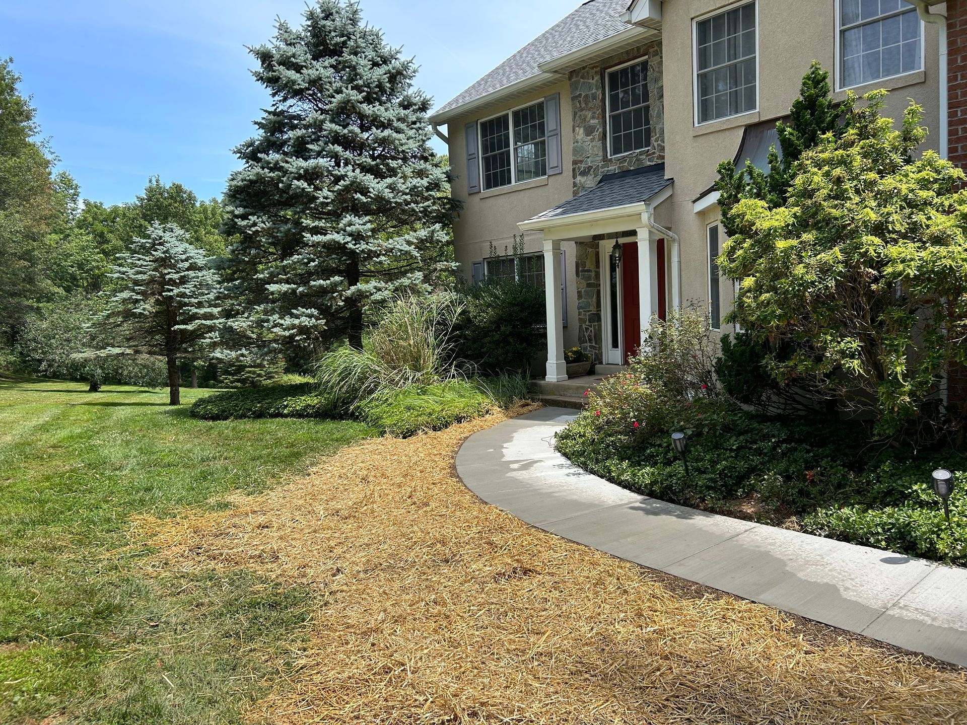 A concrete walkway curves toward the front entrance of a two-story house, bordered by mulch, lawn, and evergreen trees.