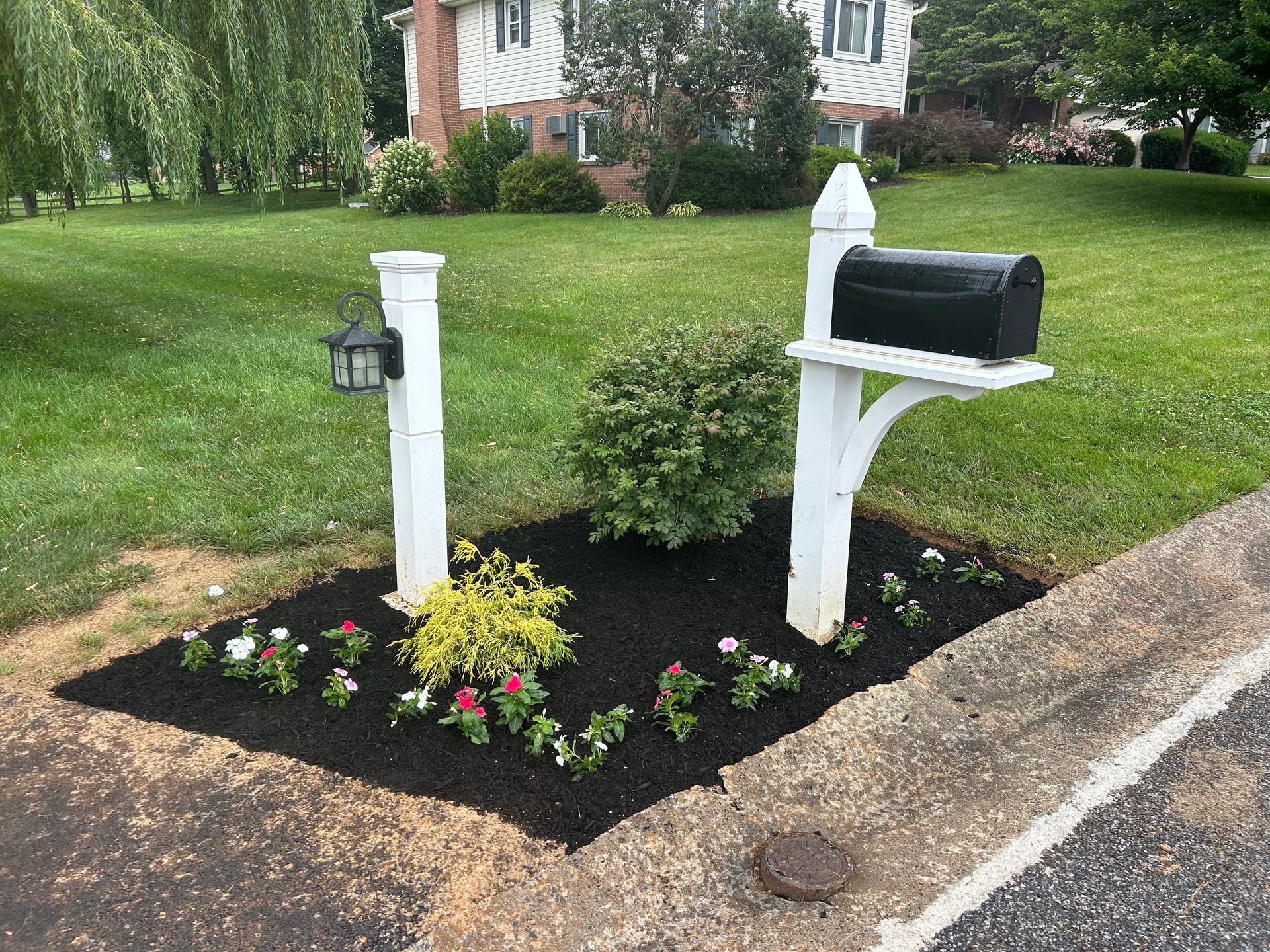 A black mailbox and a light post stand in a landscaped garden bed with mulch and small flowers in front of a house.