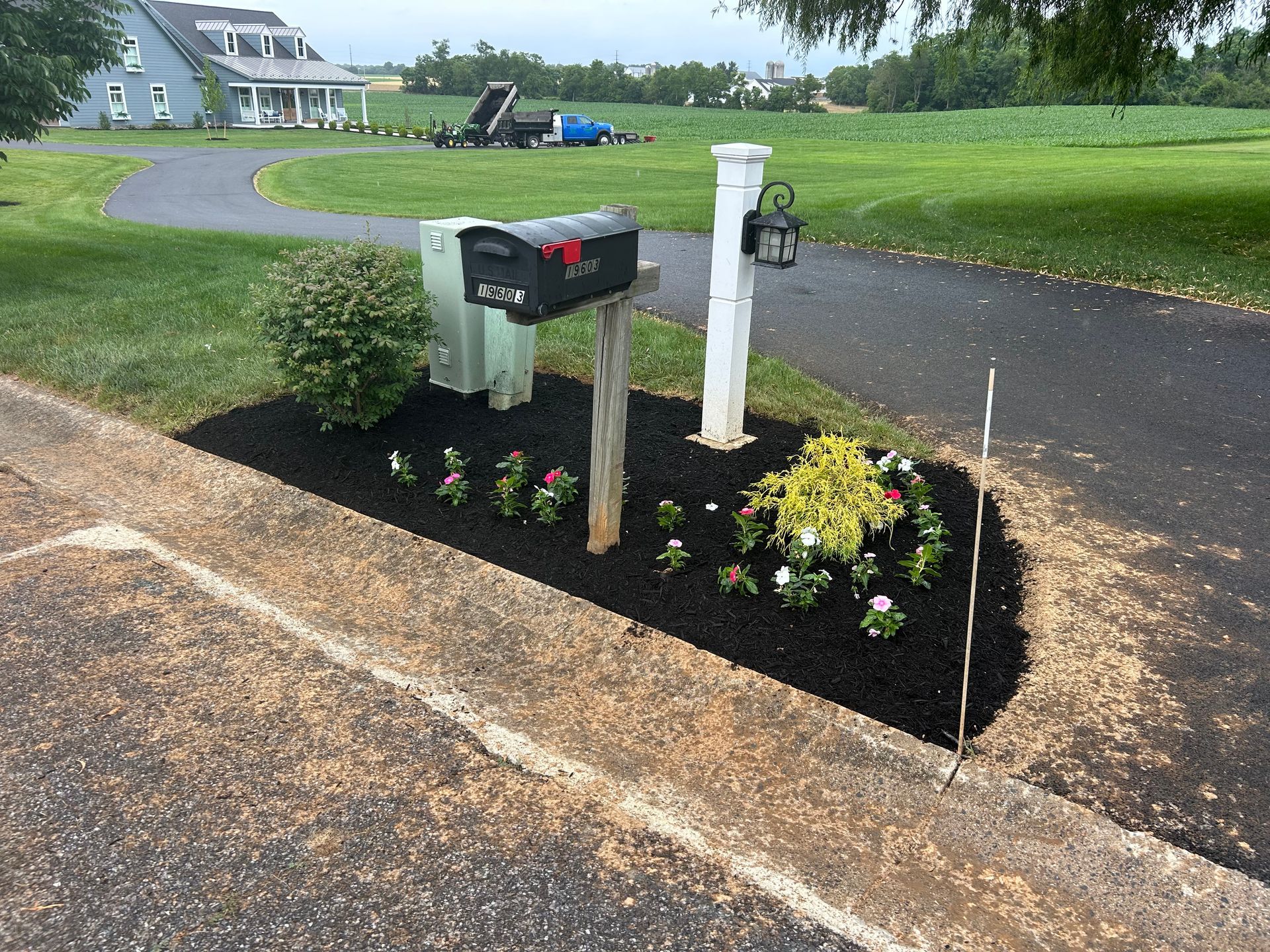A mailbox and lamppost sit in a mulched flower bed next to a driveway leading to a house in a rural field.
