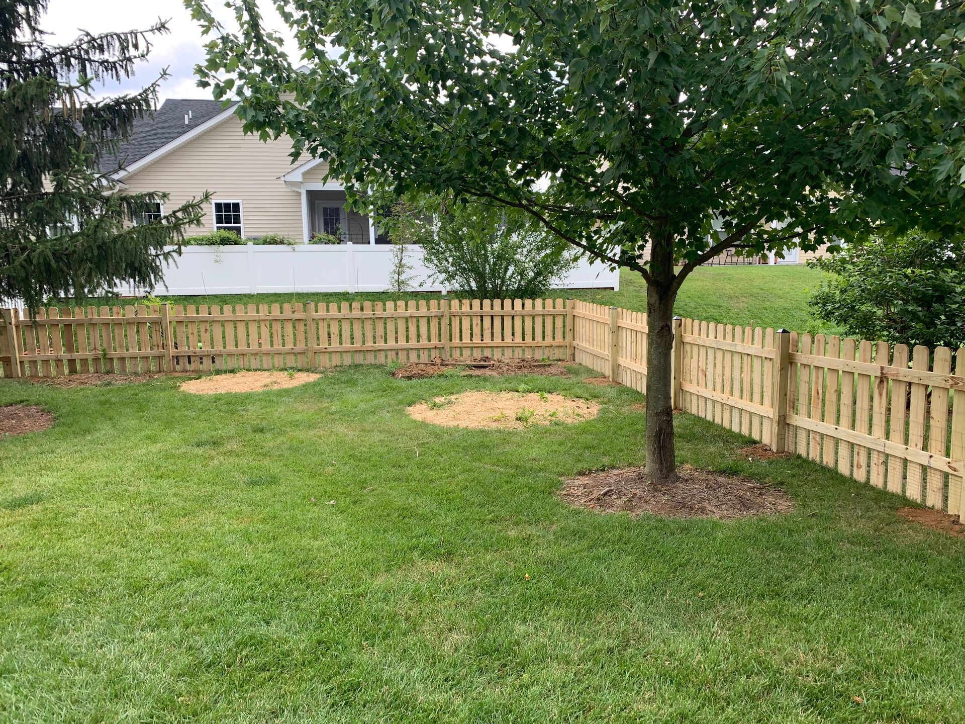 A light wood picket fence encloses a green backyard lawn with a tree and two patches of fresh soil.